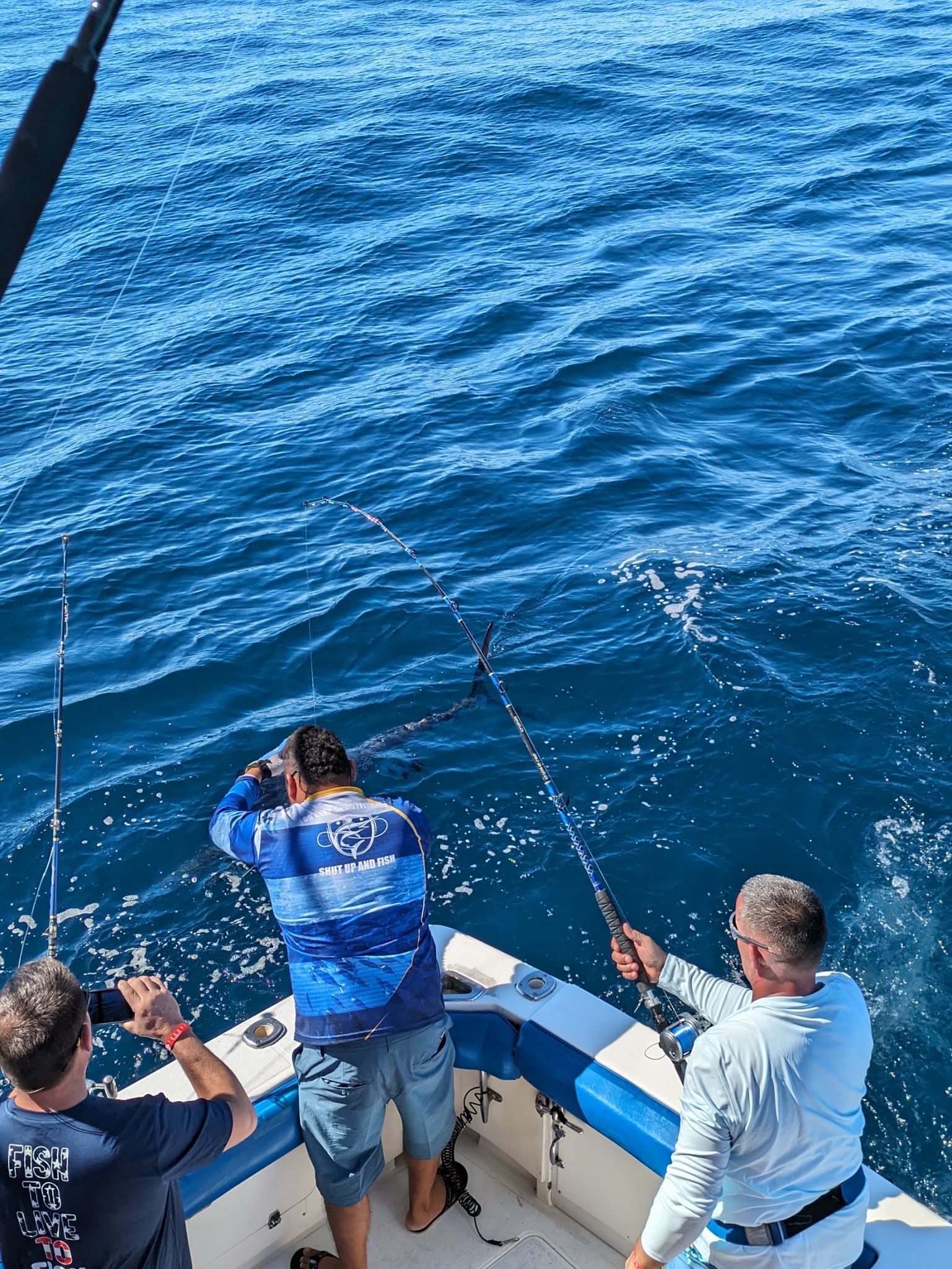 PXL 20240202 175659297