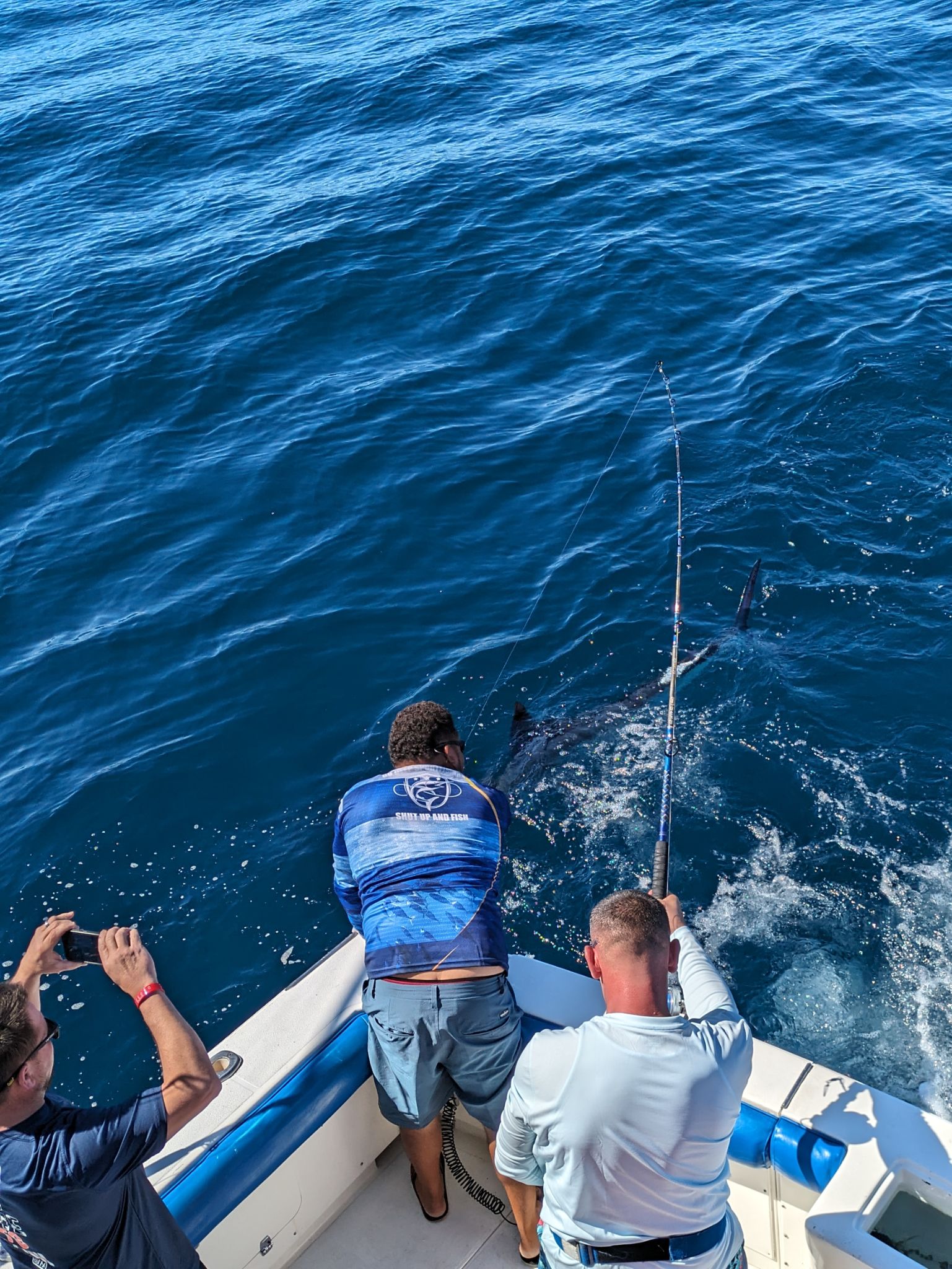 PXL 20240202 175712845