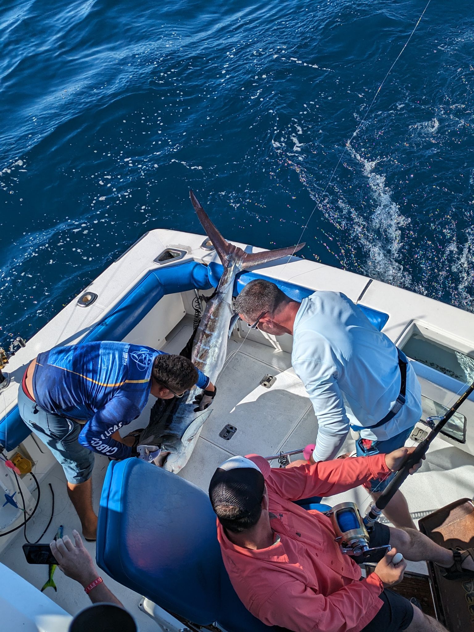 PXL 20240202 175734233