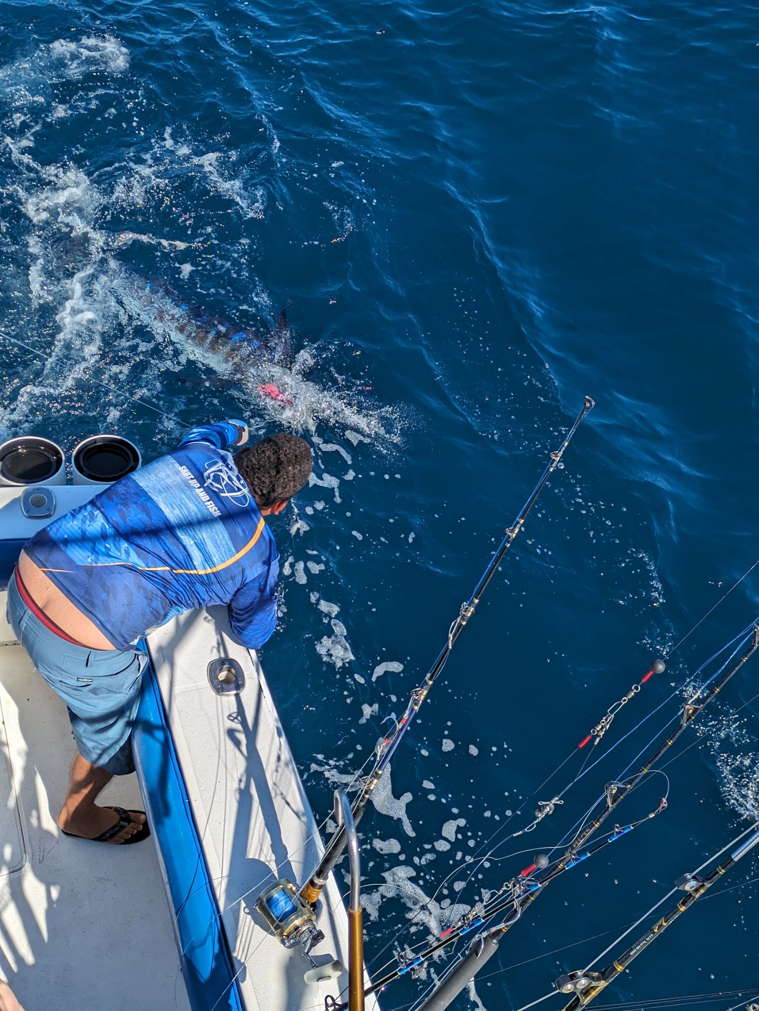 PXL 20240202 175832379