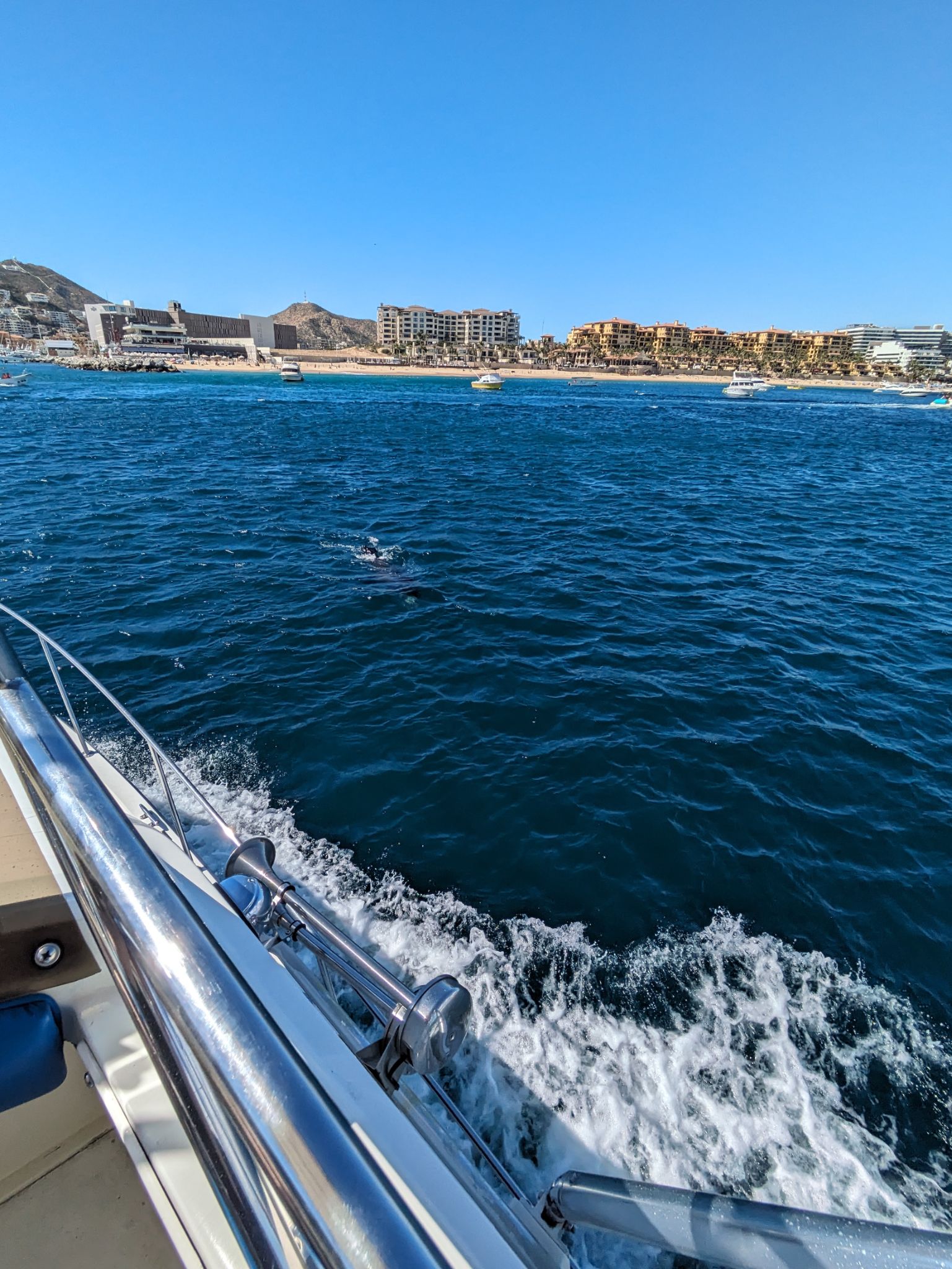 PXL 20240202 205555204