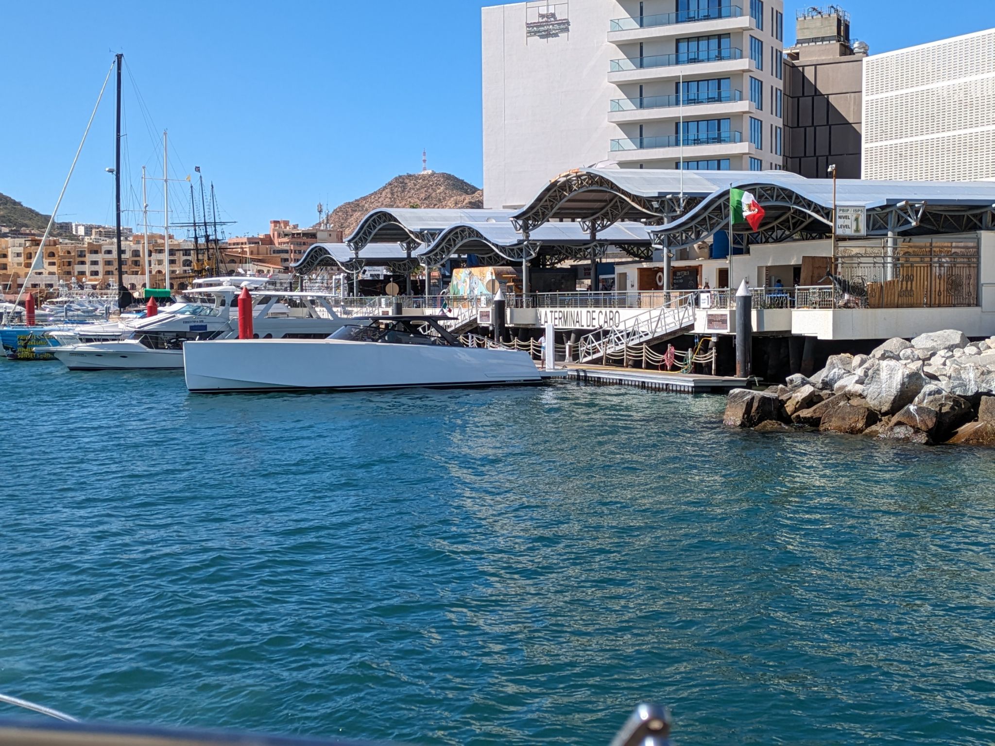 PXL 20240202 205734236