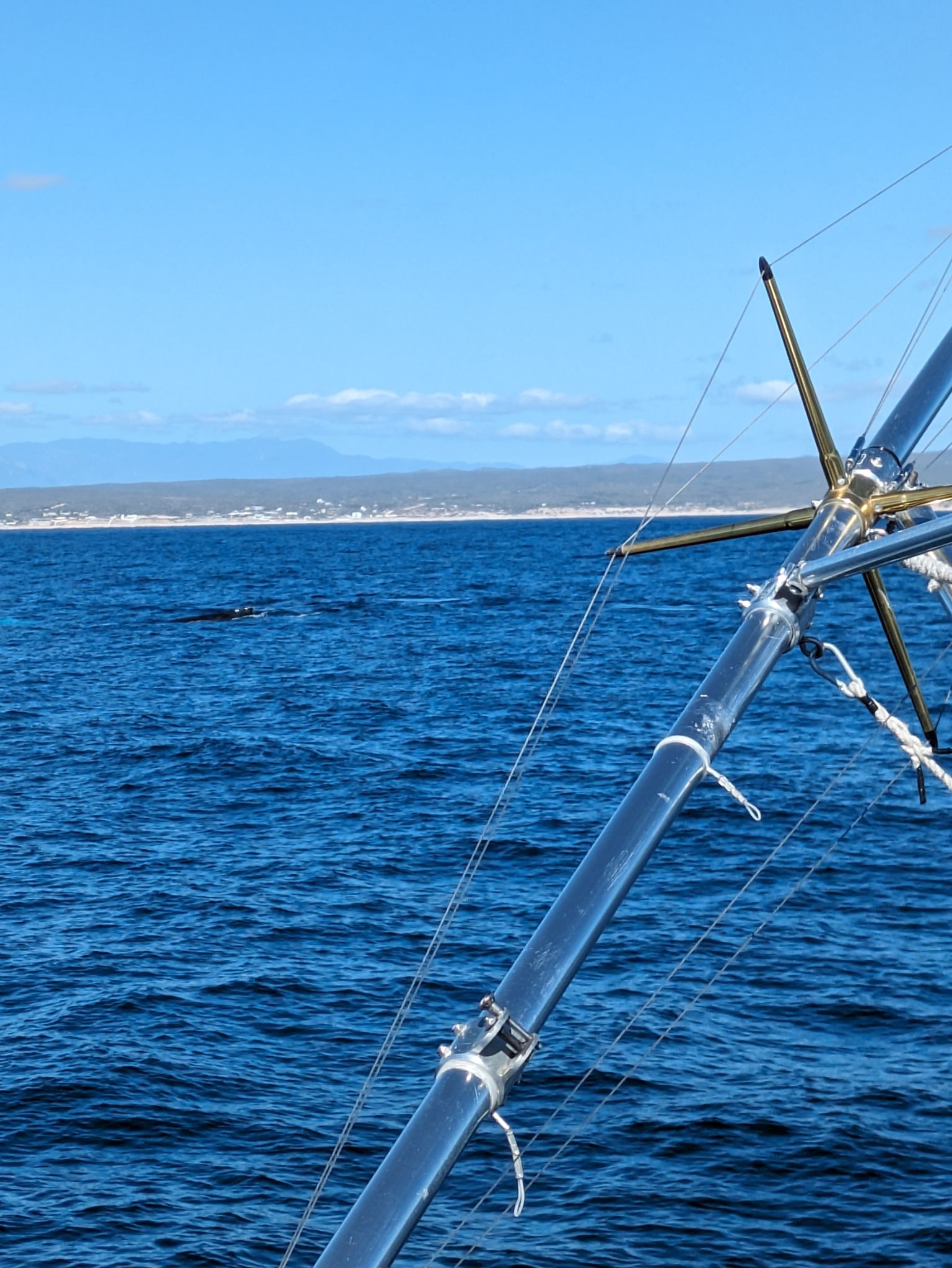 PXL 20240203 175031125