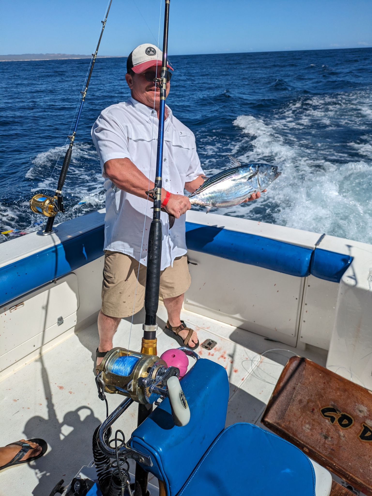 PXL 20240203 183647855