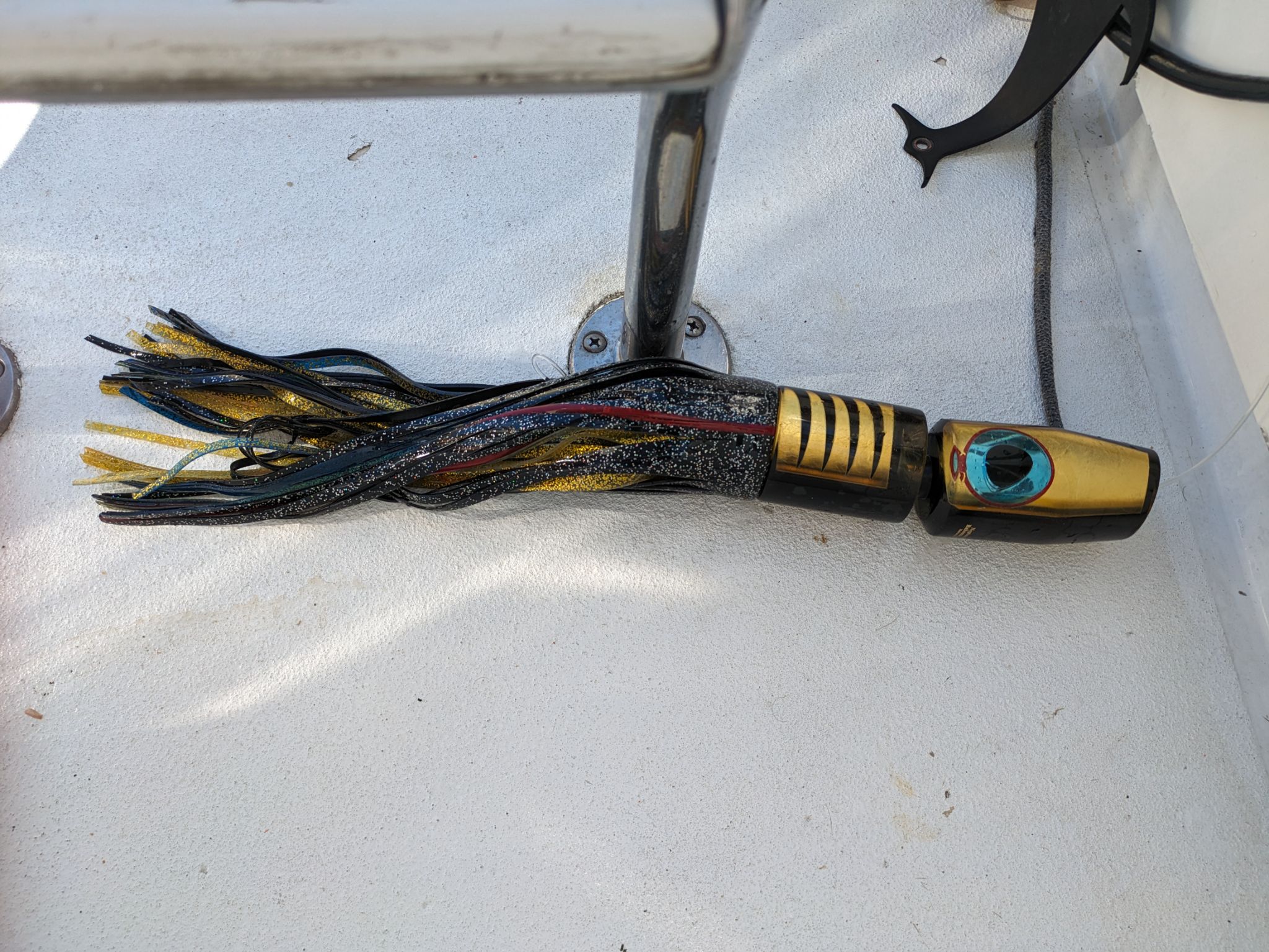 PXL 20240203 184845308.MP