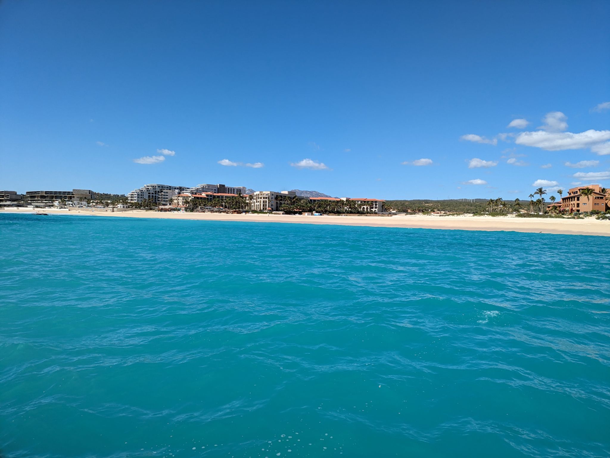 PXL 20240203 194836193