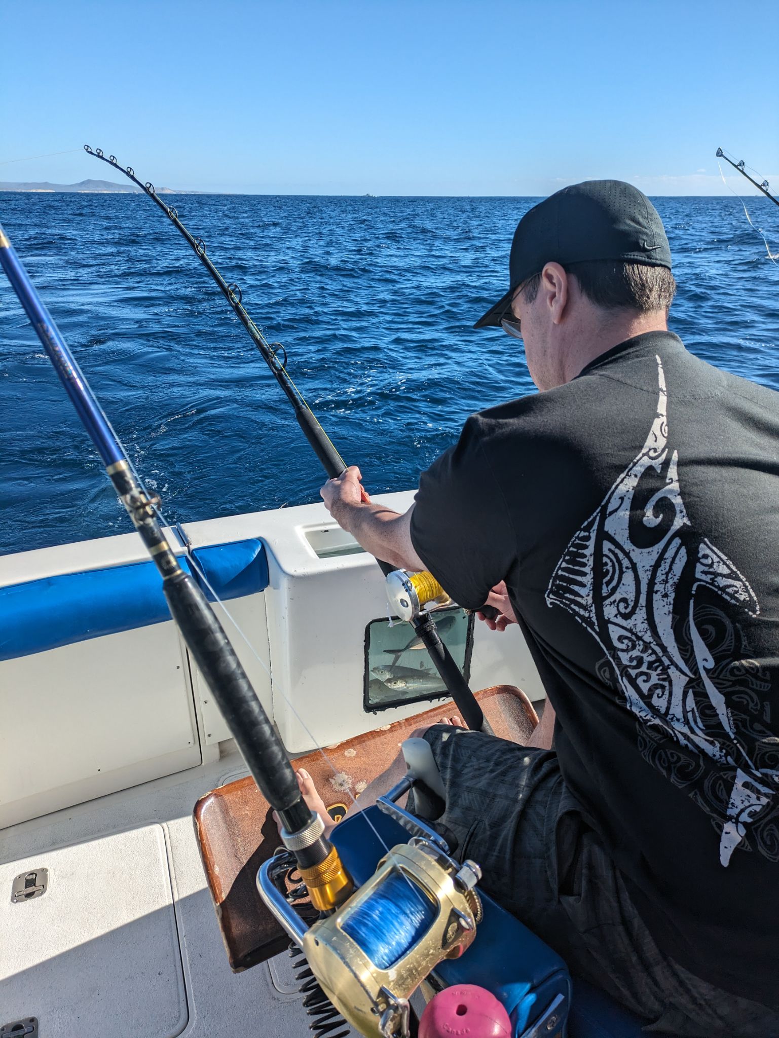 PXL 20240204 163716891.MP