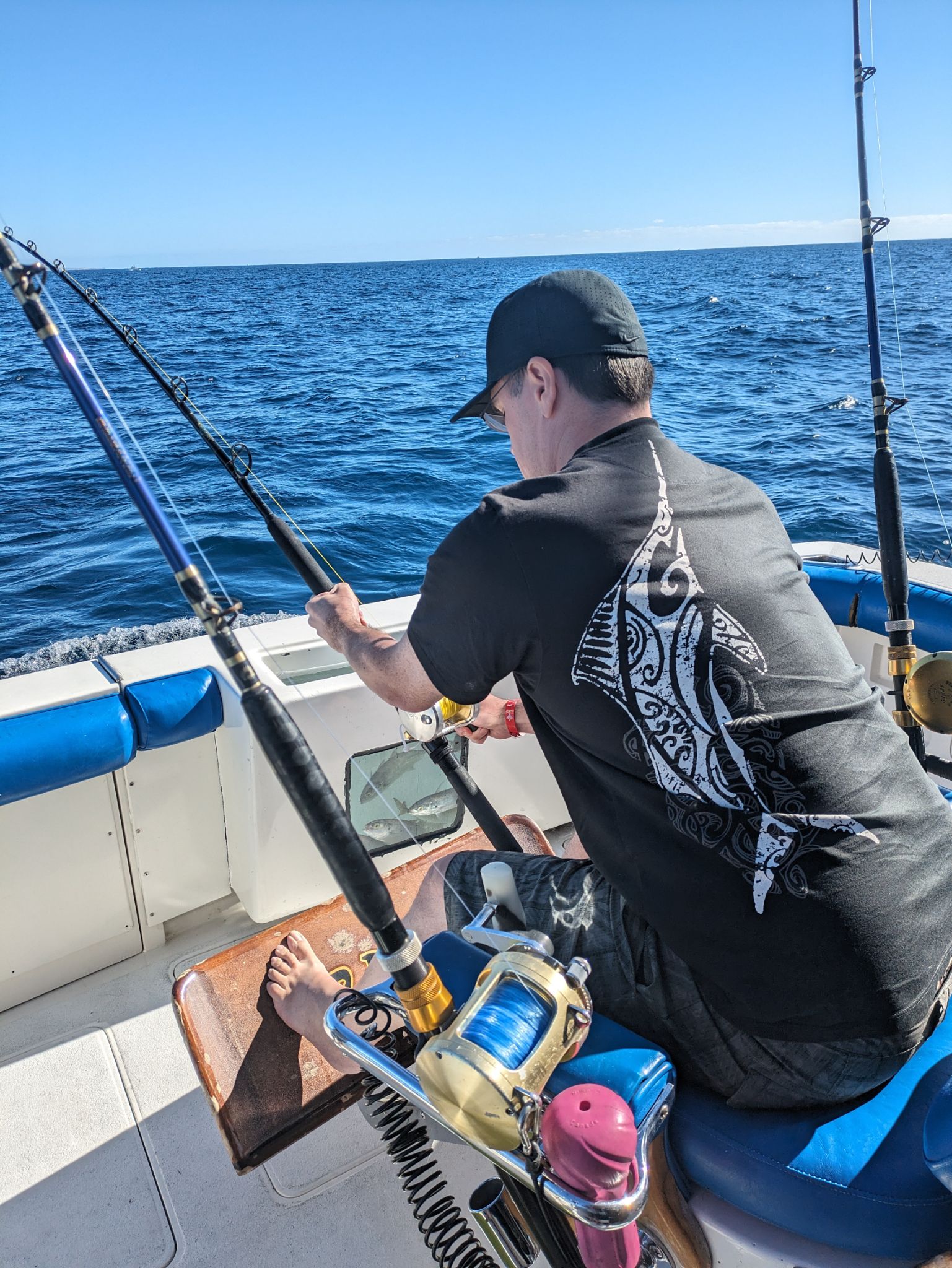 PXL 20240204 163740834