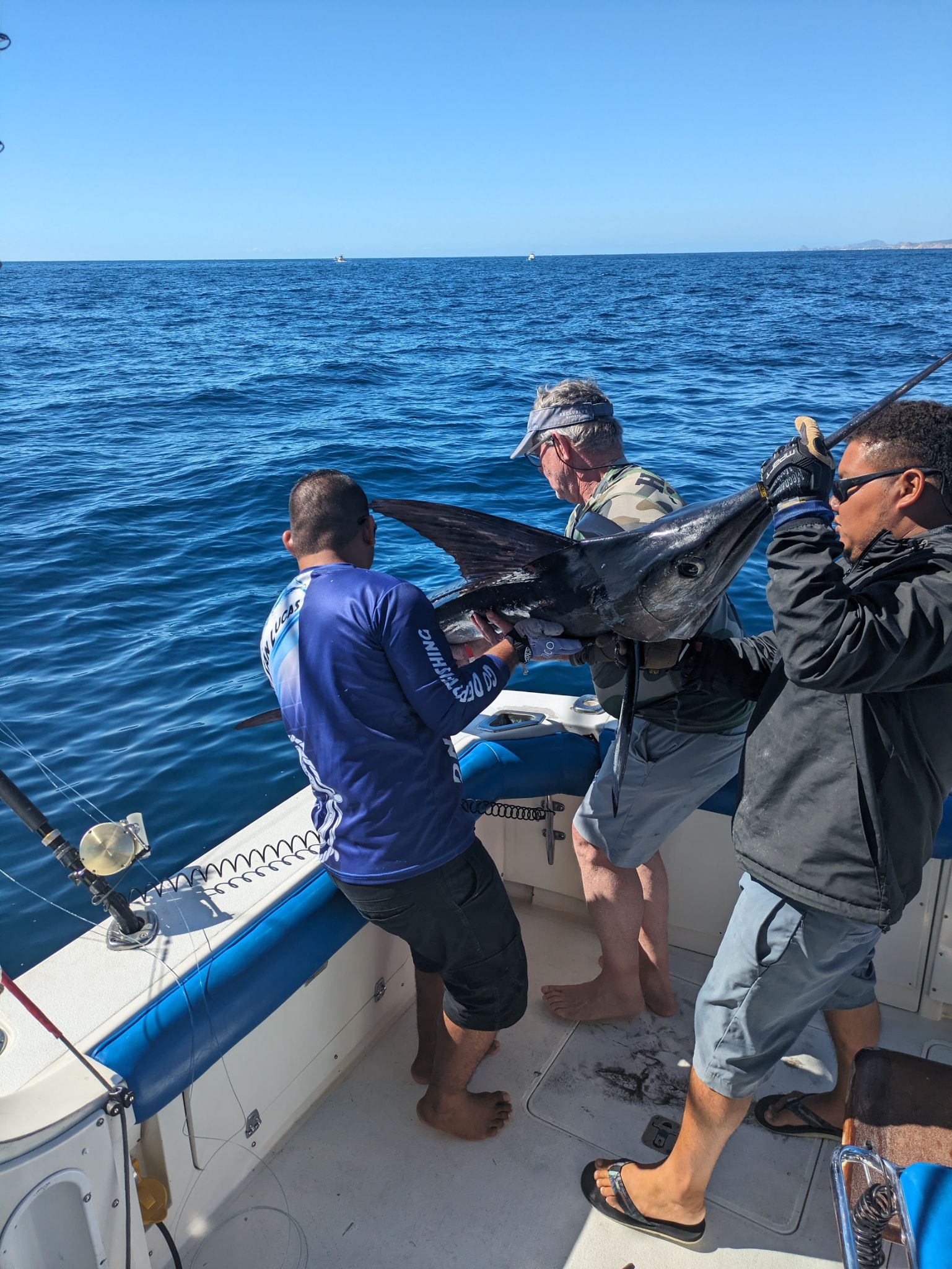 PXL 20240204 175638245