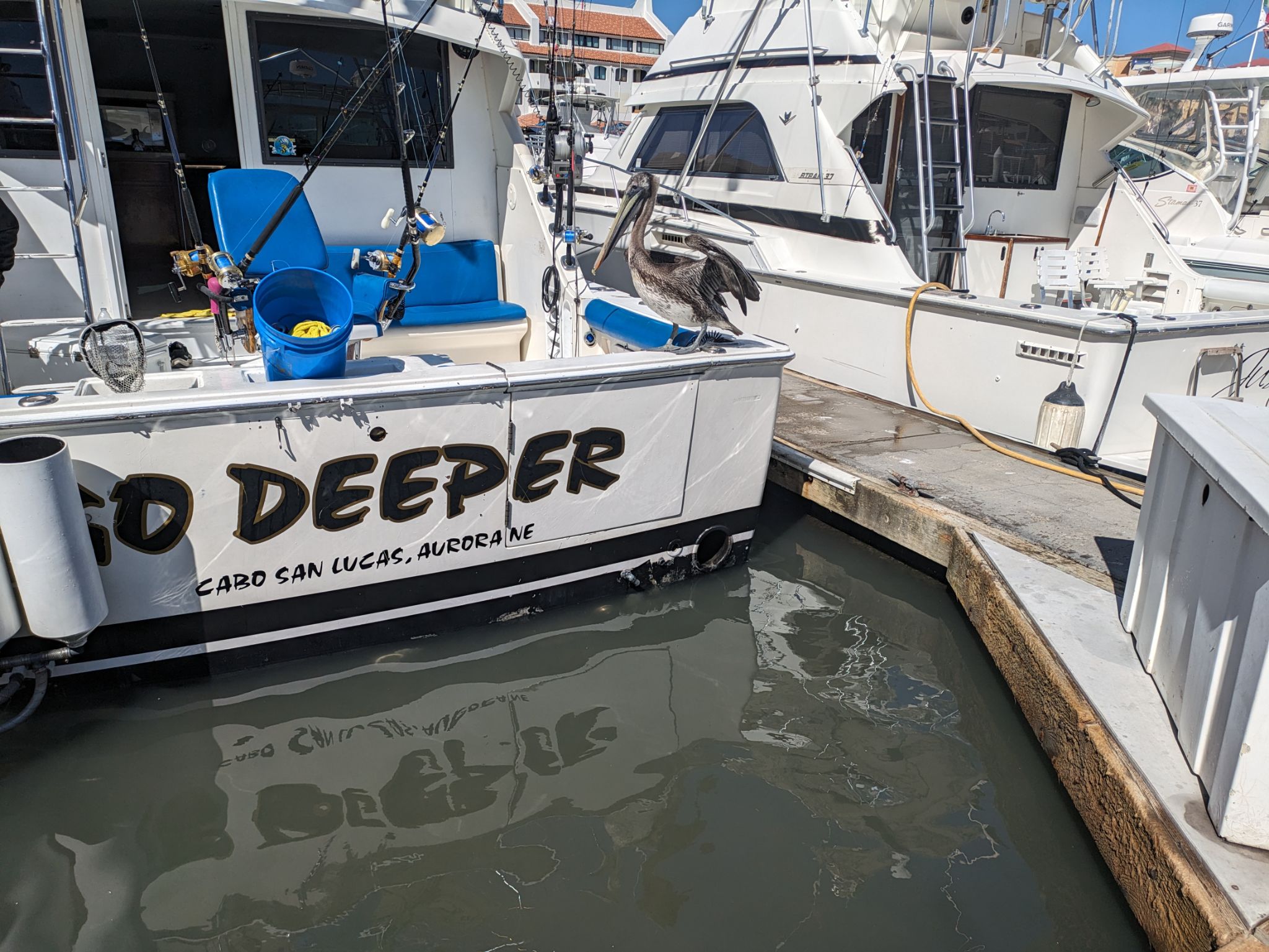 PXL 20240204 210306537