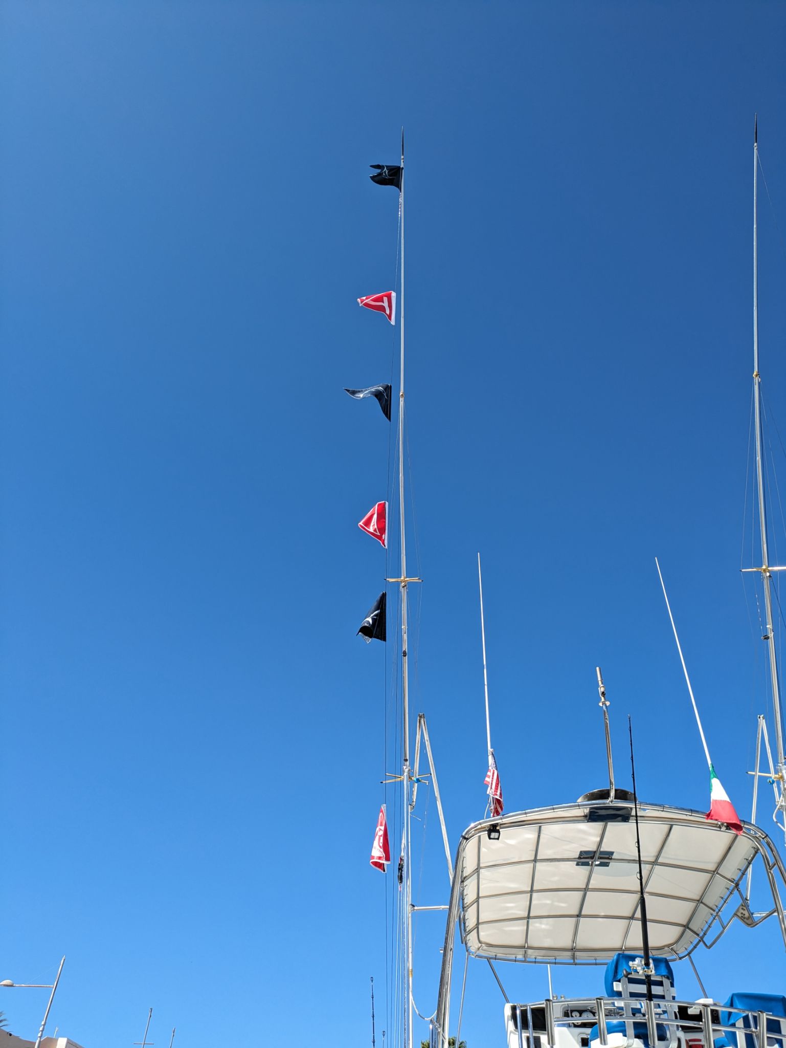 PXL 20240204 210310701