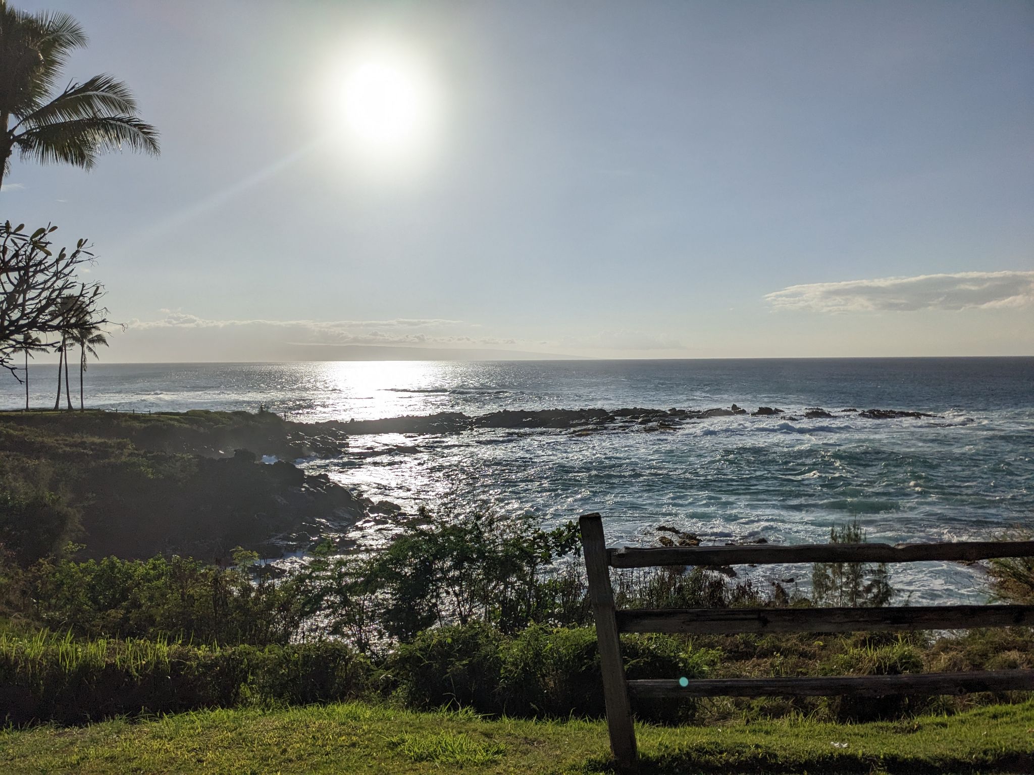 PXL 20230123 024649418