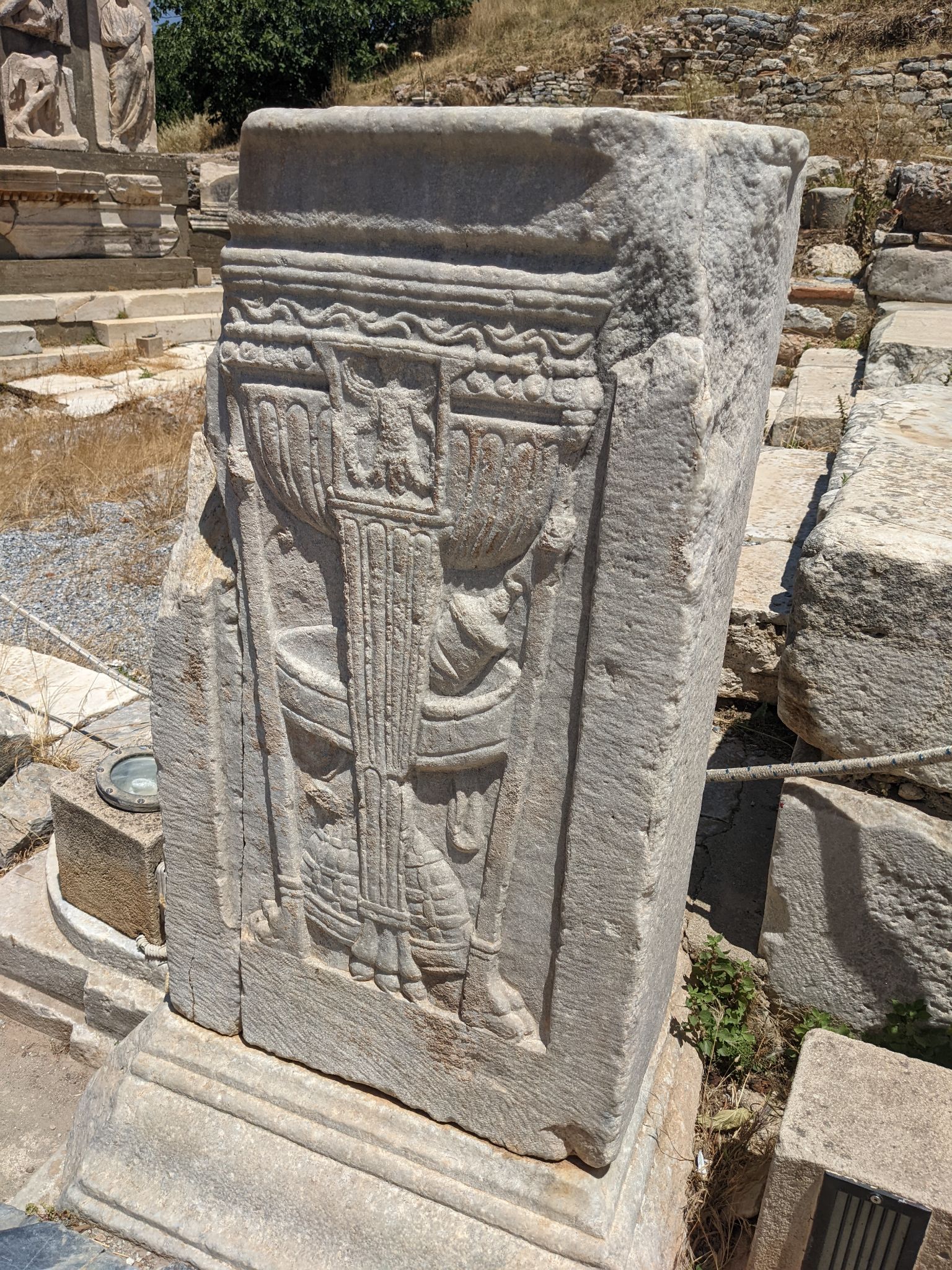 PXL 20220615 092410728.MP