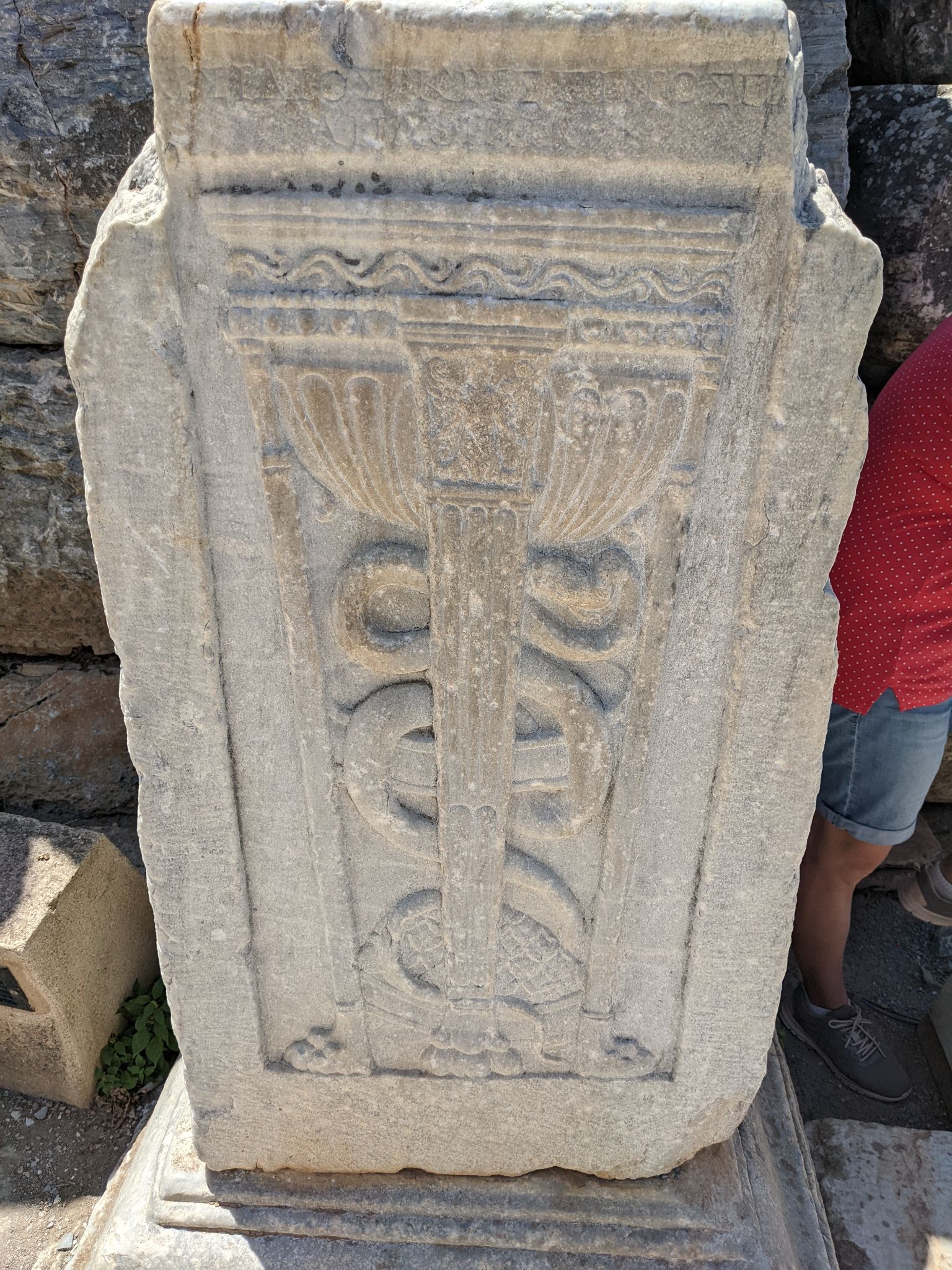 PXL 20220615 092428467.MP