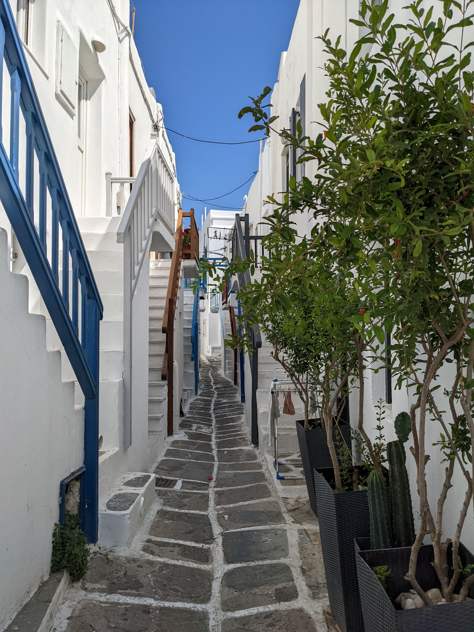 PXL 20220616 075206700