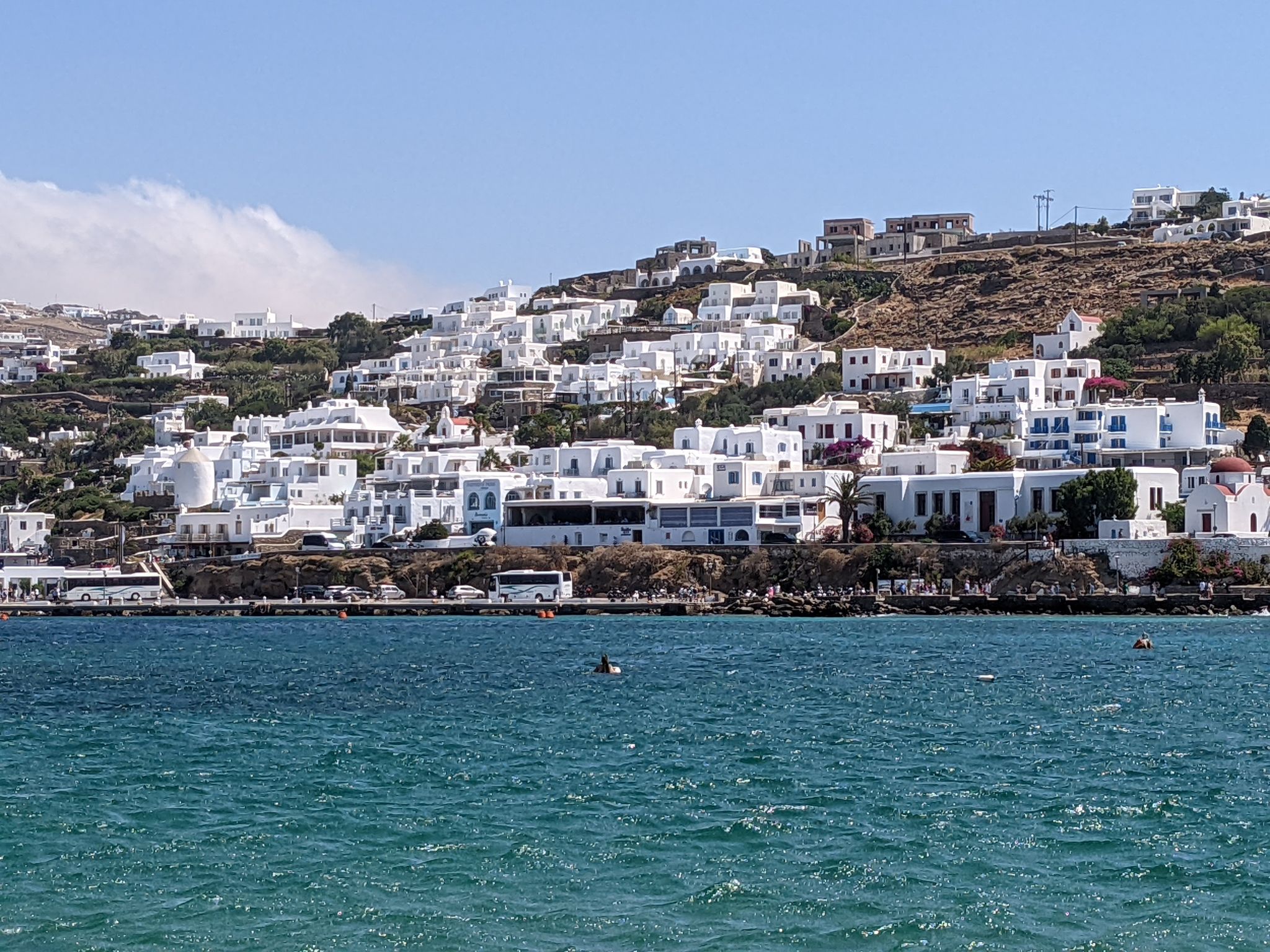 PXL 20220616 081700011.MP