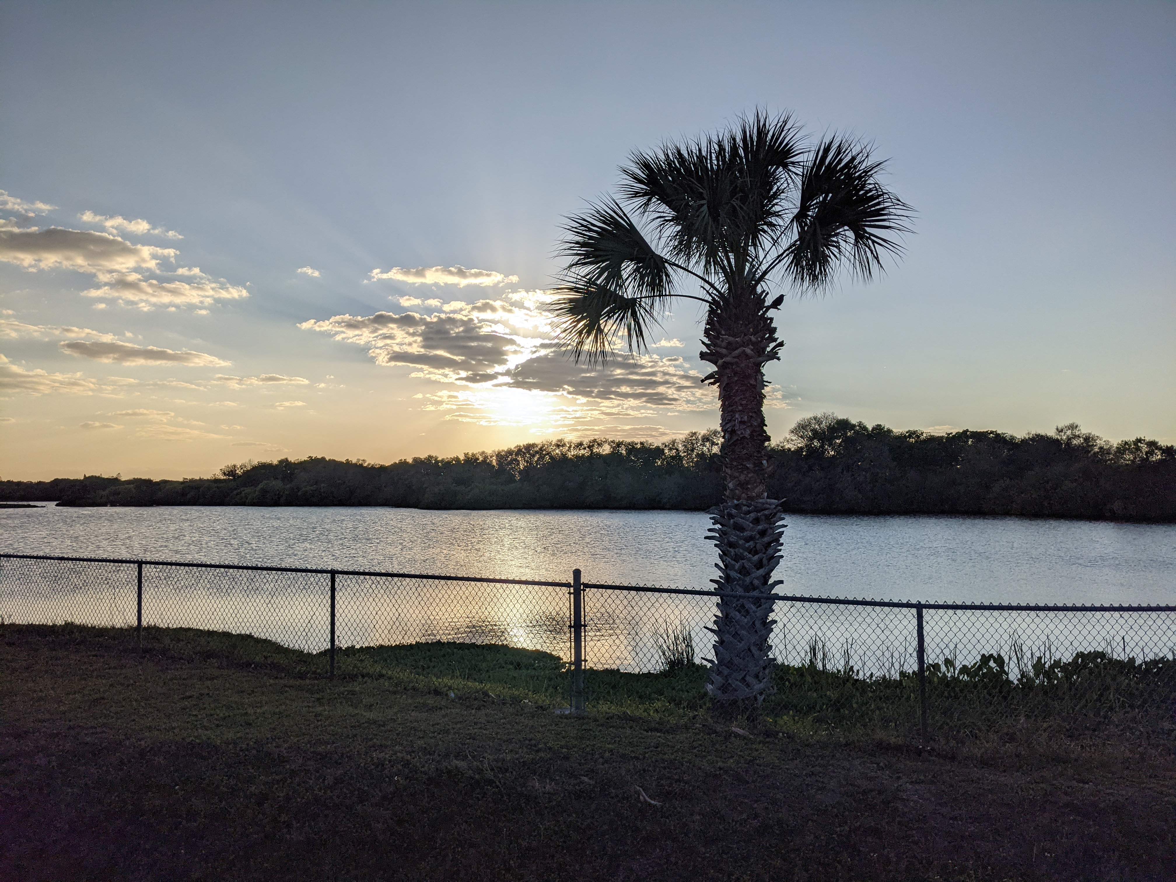 PXL 20210308 225740856