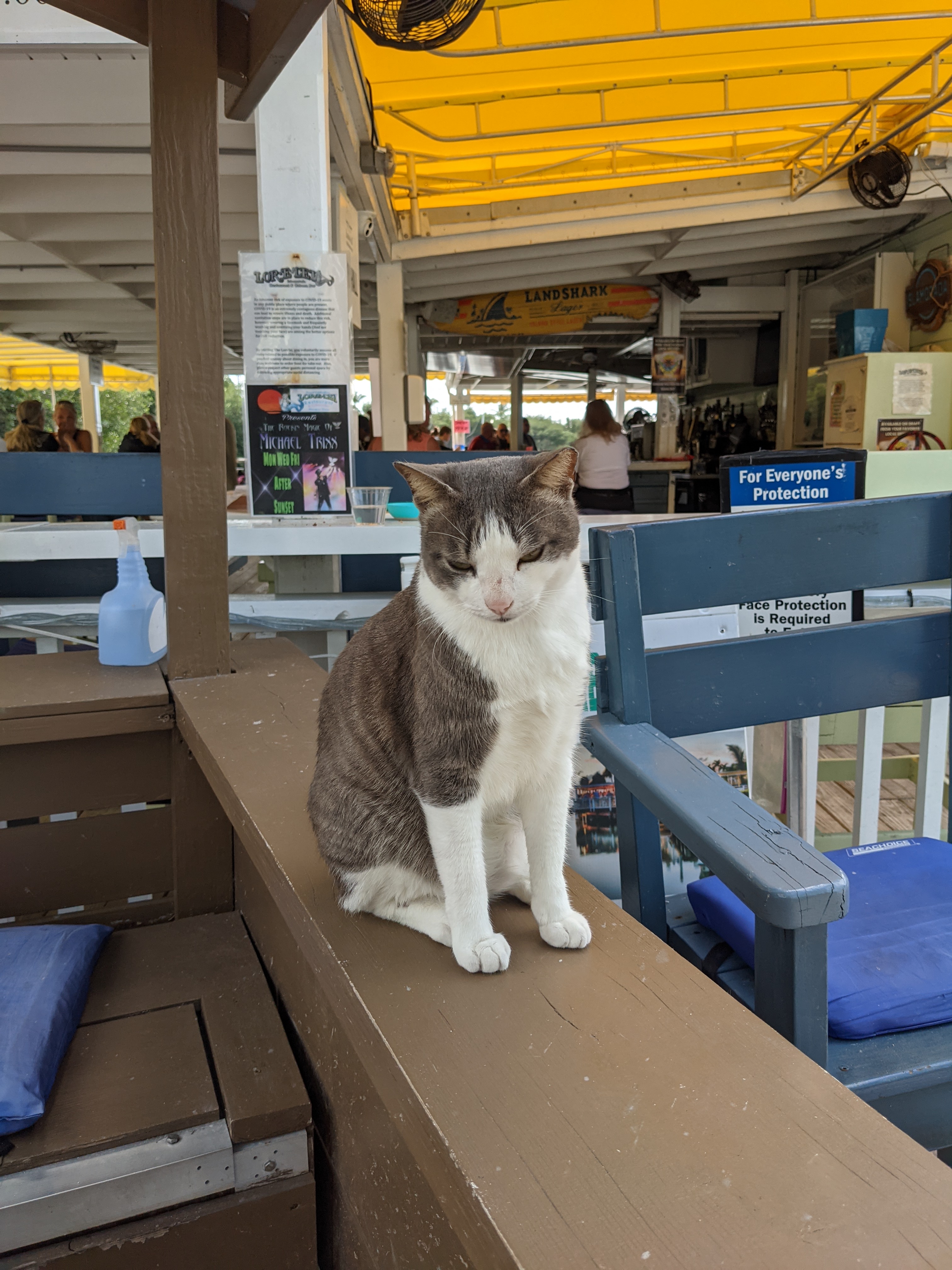 PXL 20210309 185628986