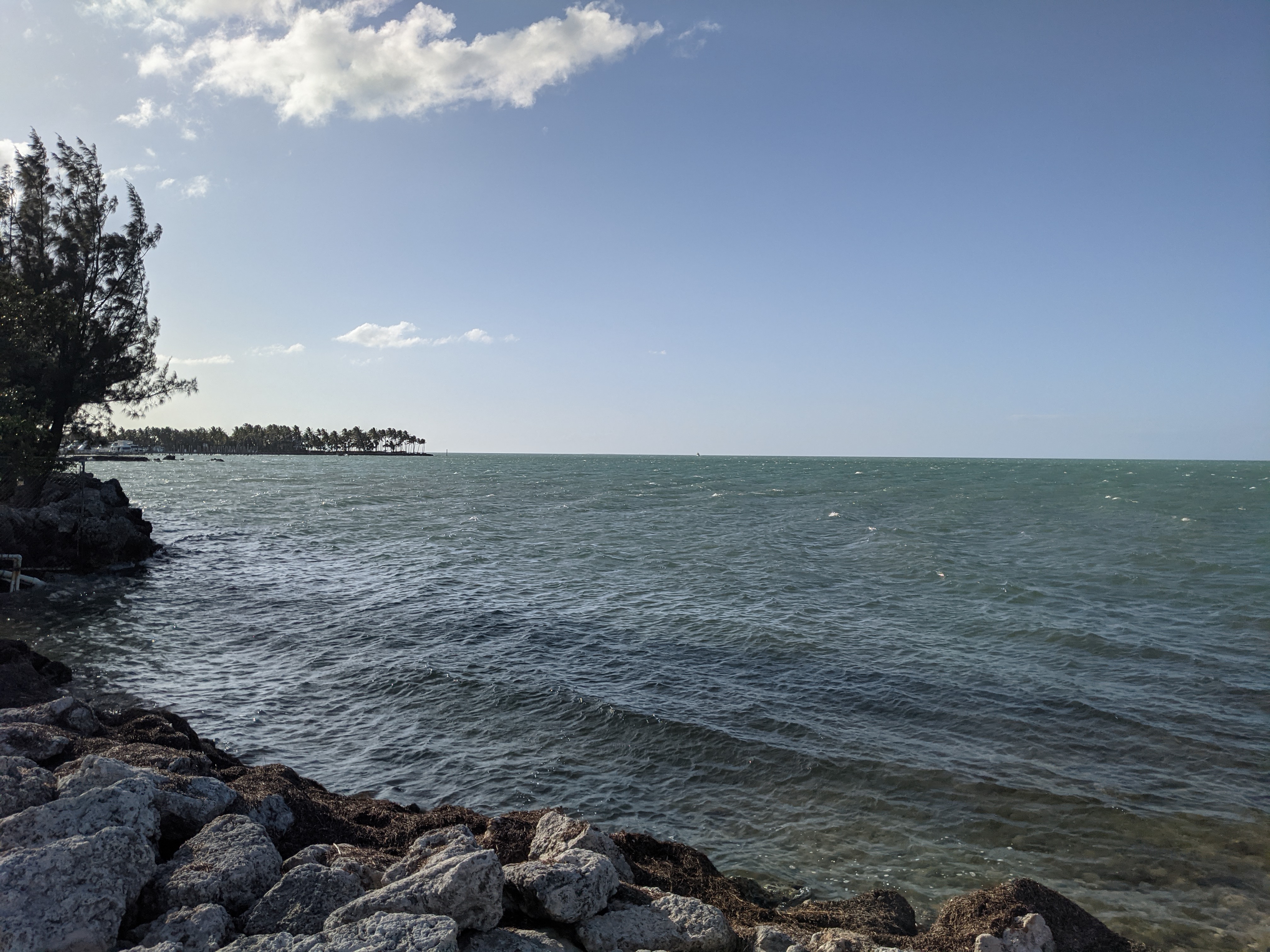 PXL 20210309 215244787