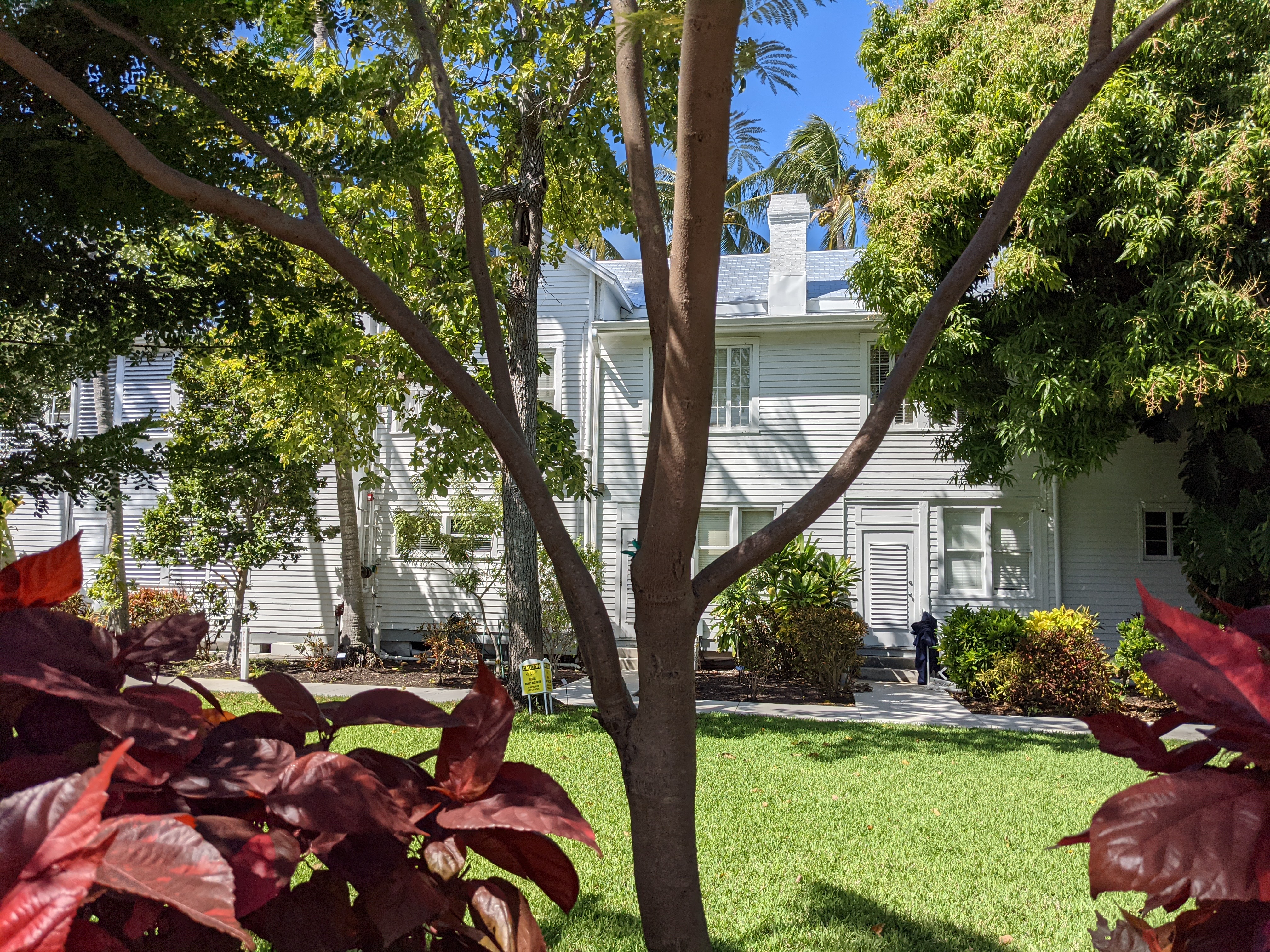 PXL 20210310 160348832.MP