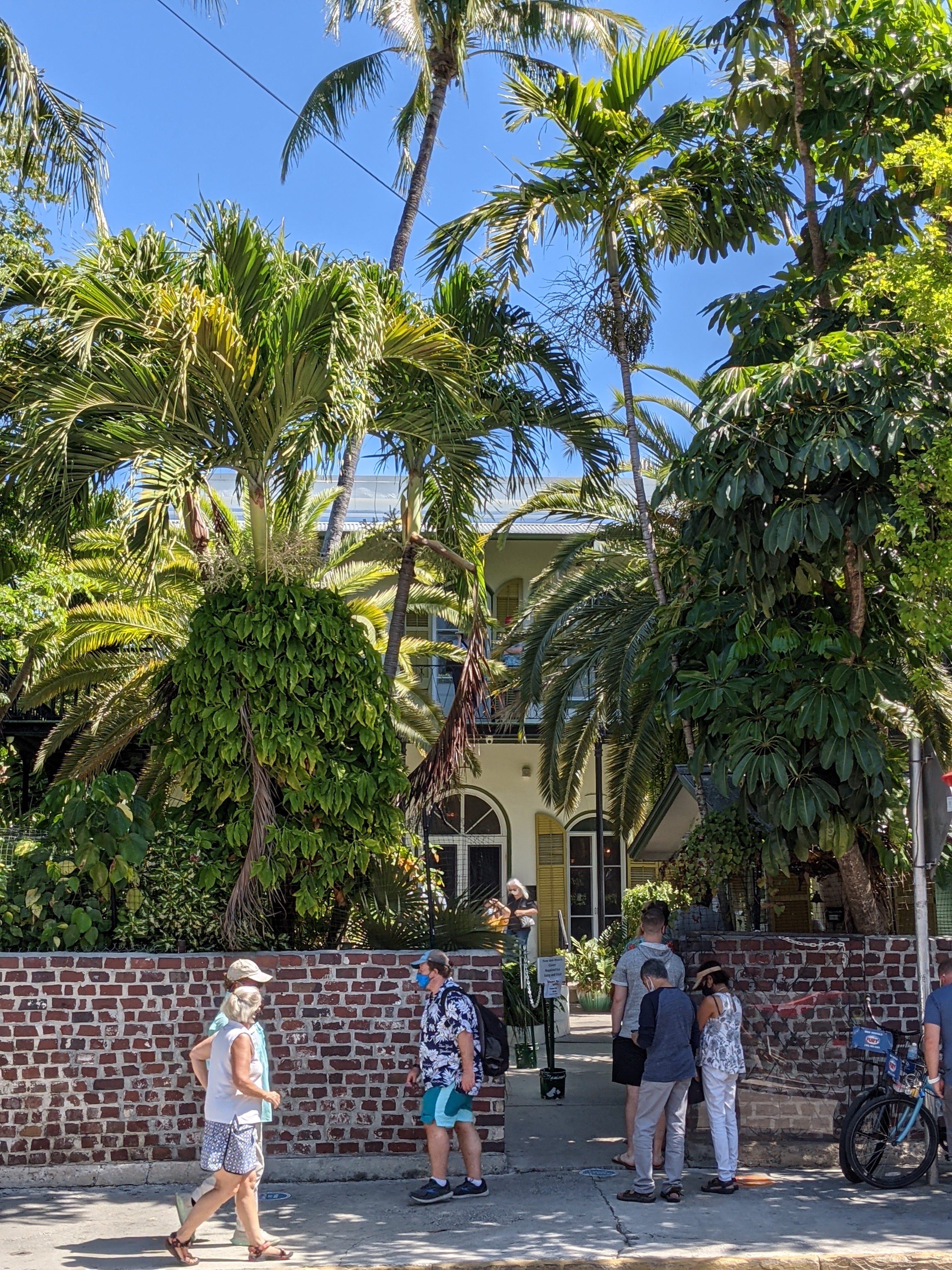 PXL 20210310 163652294