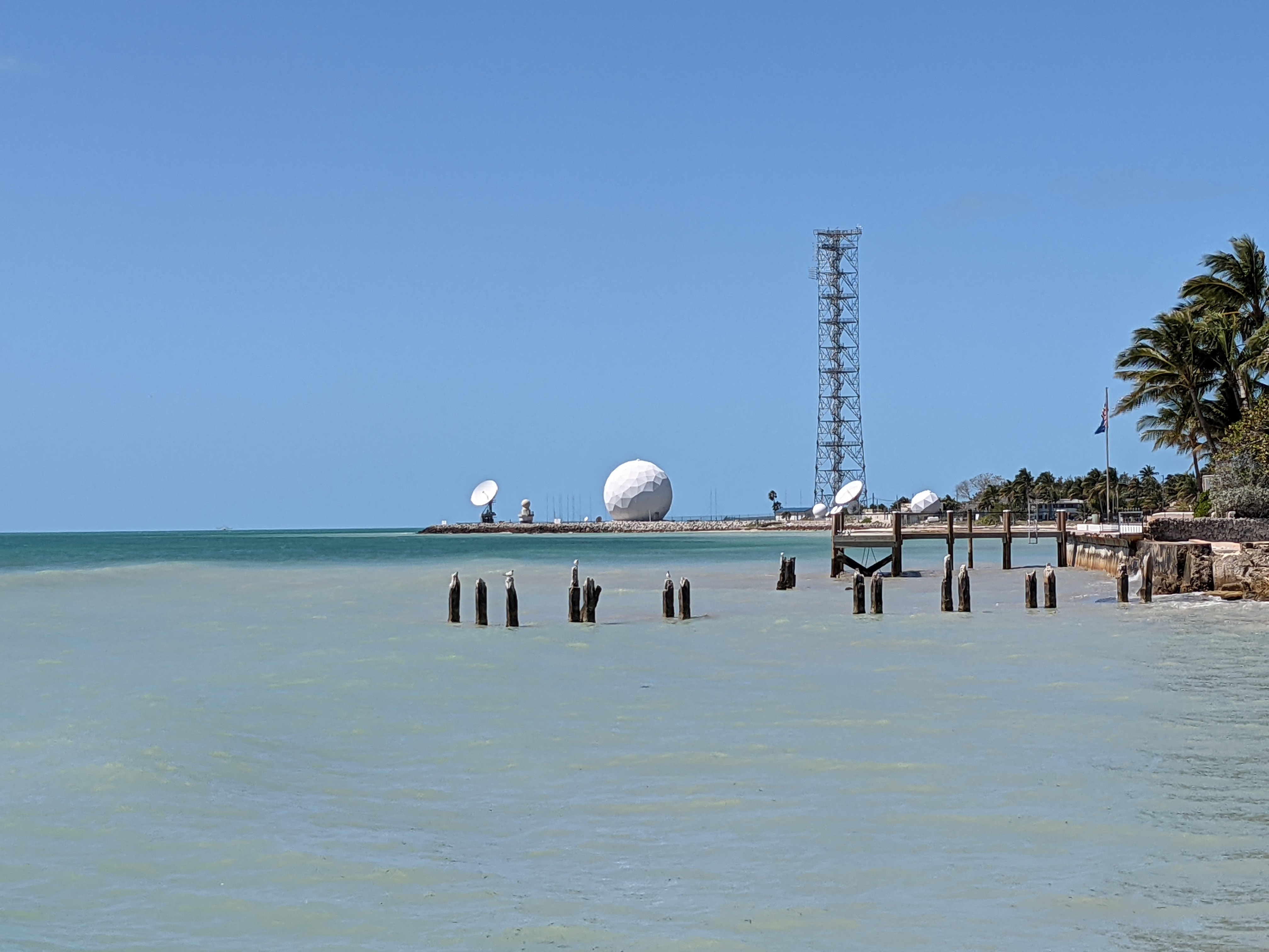 PXL 20210310 165624484