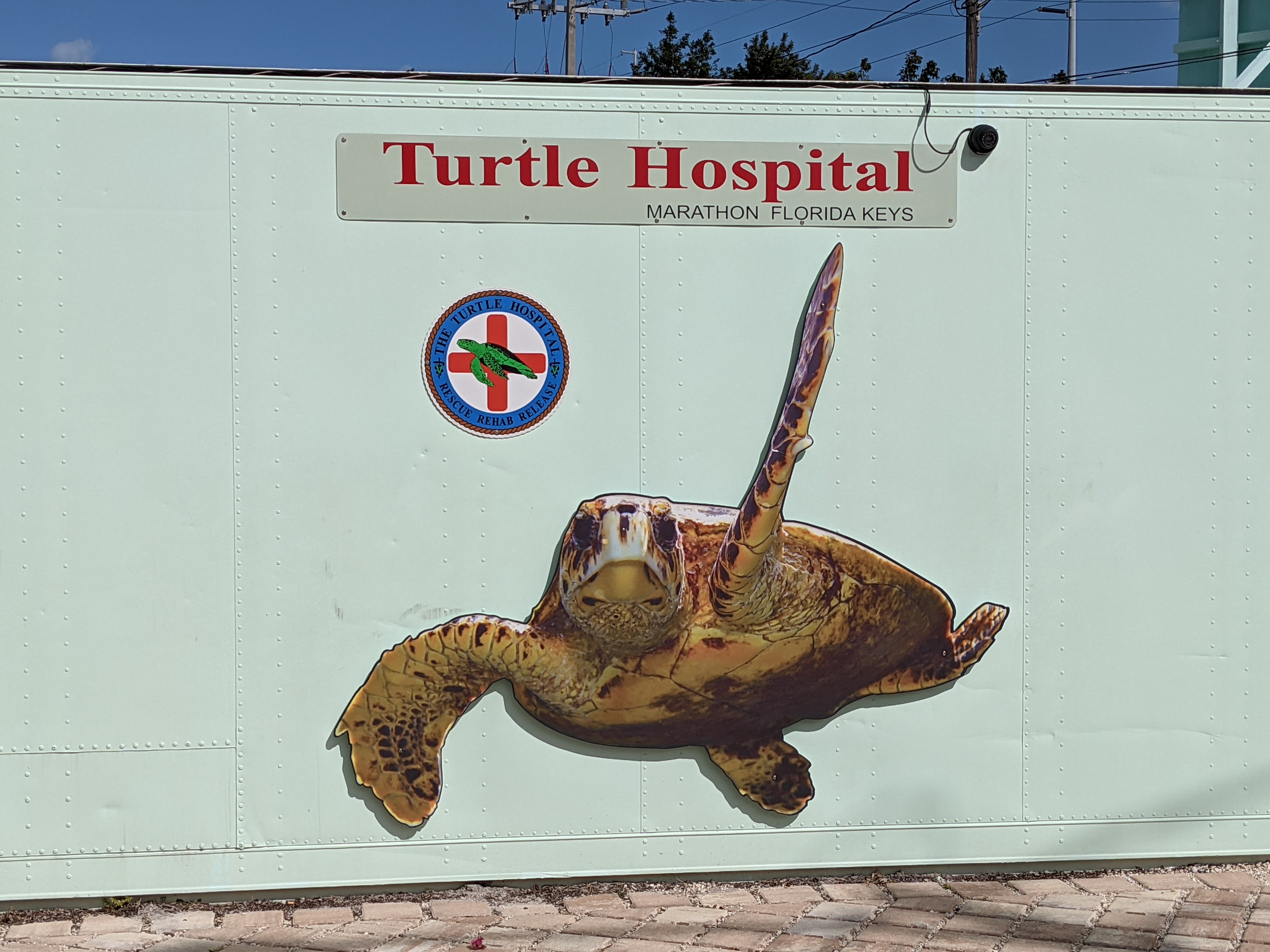 PXL 20210311 200028892