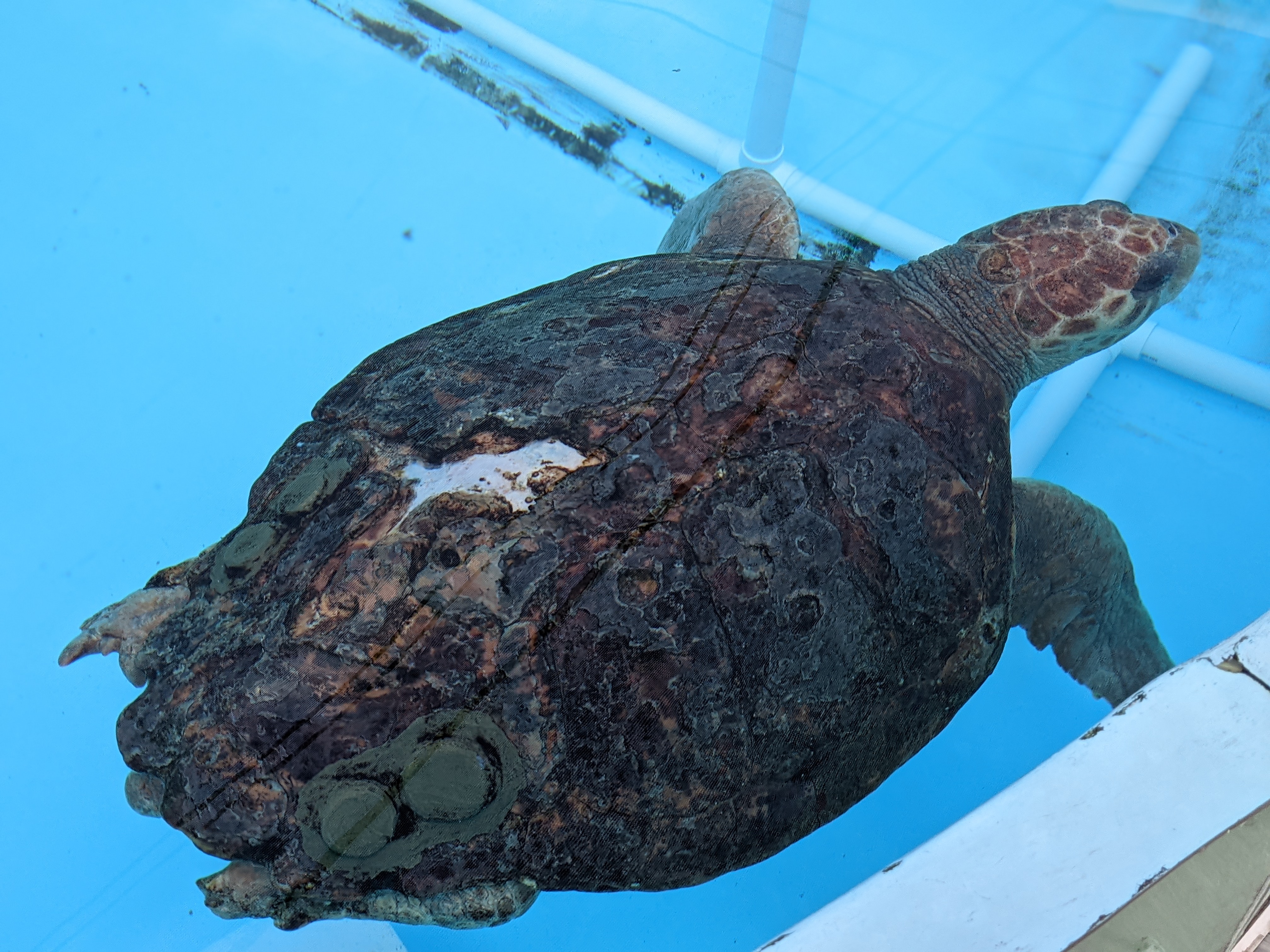 PXL 20210311 200522200.PORTRAIT