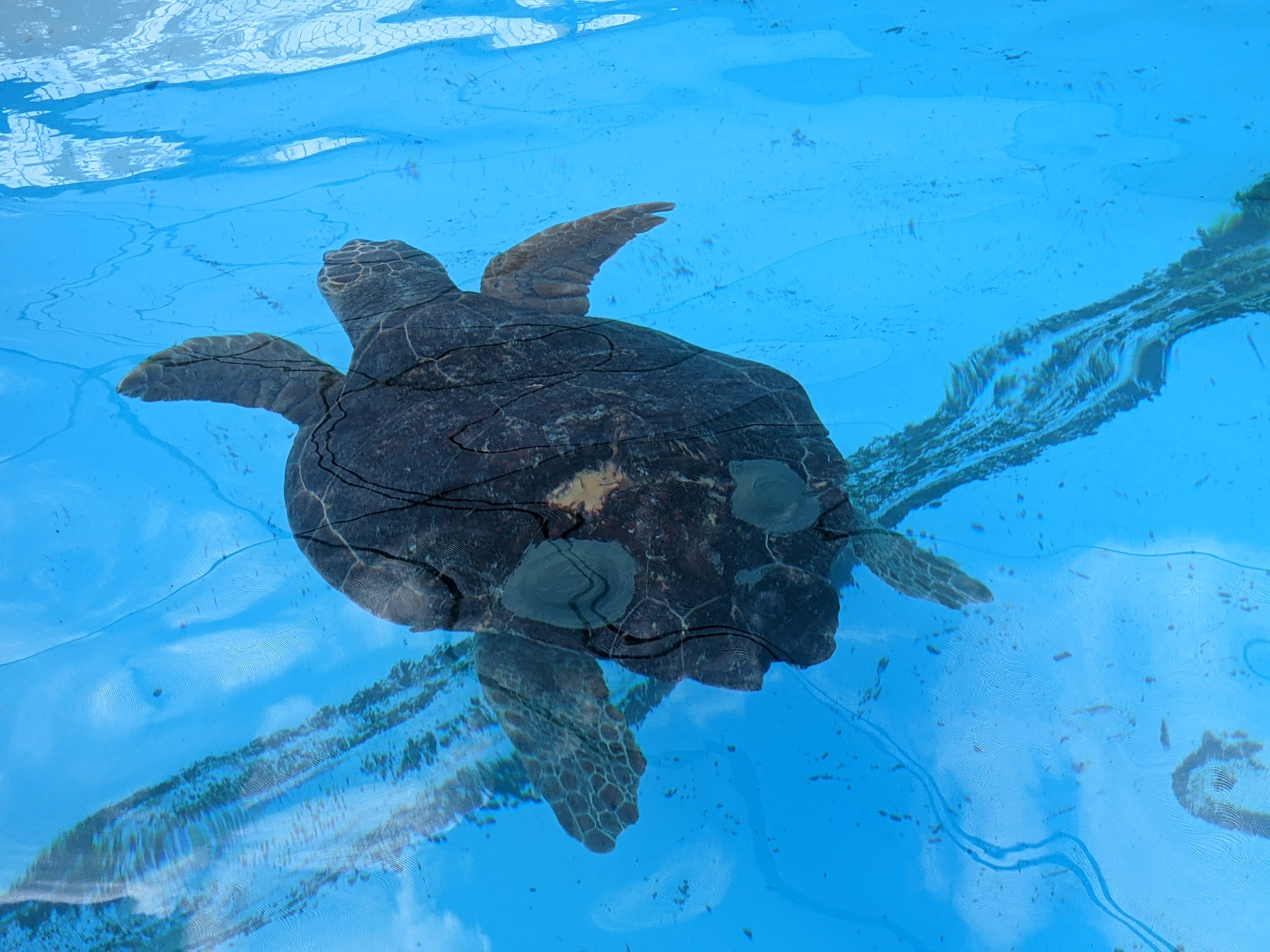 PXL 20210311 200708080