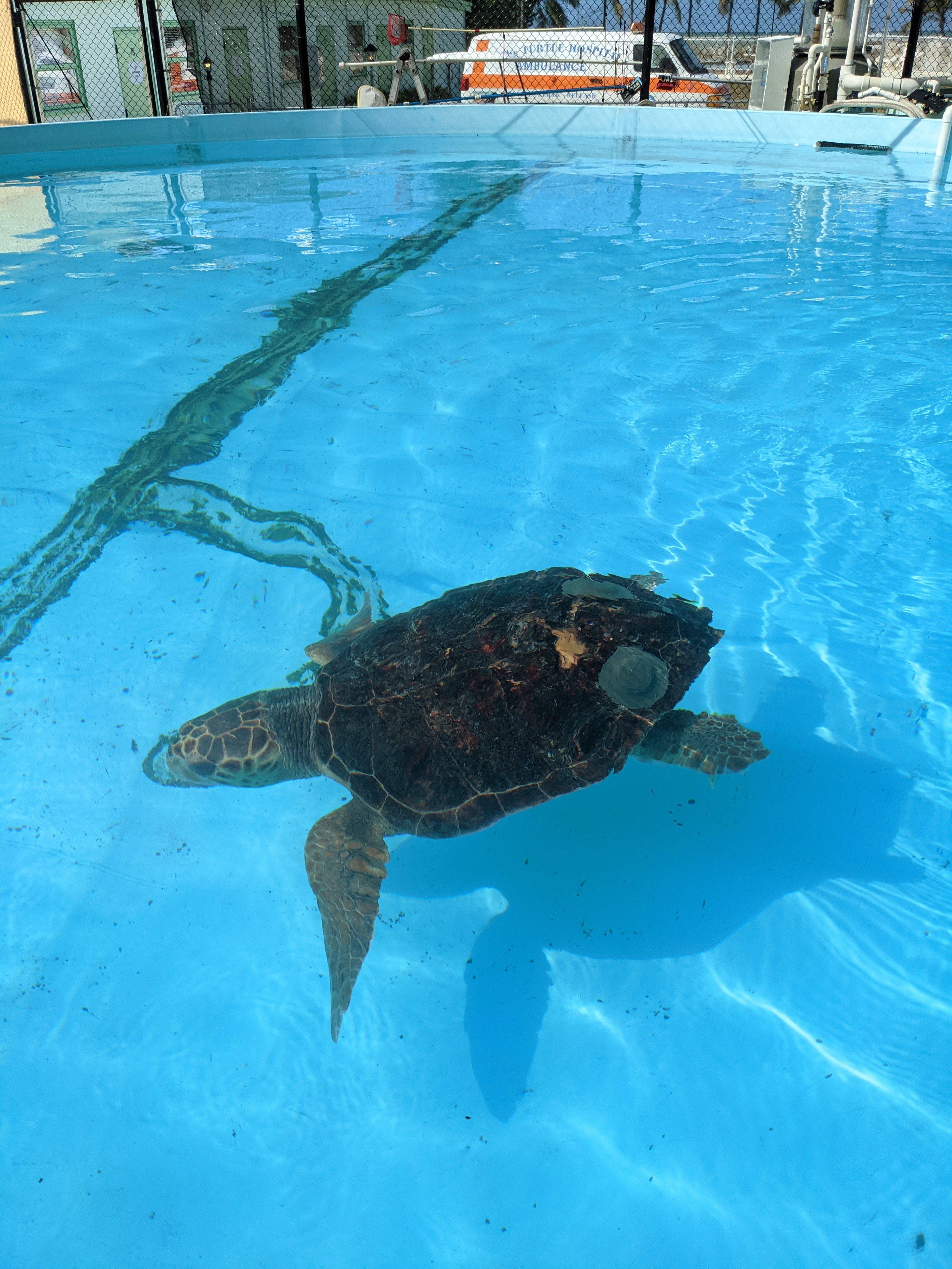 PXL 20210311 200755174.MP