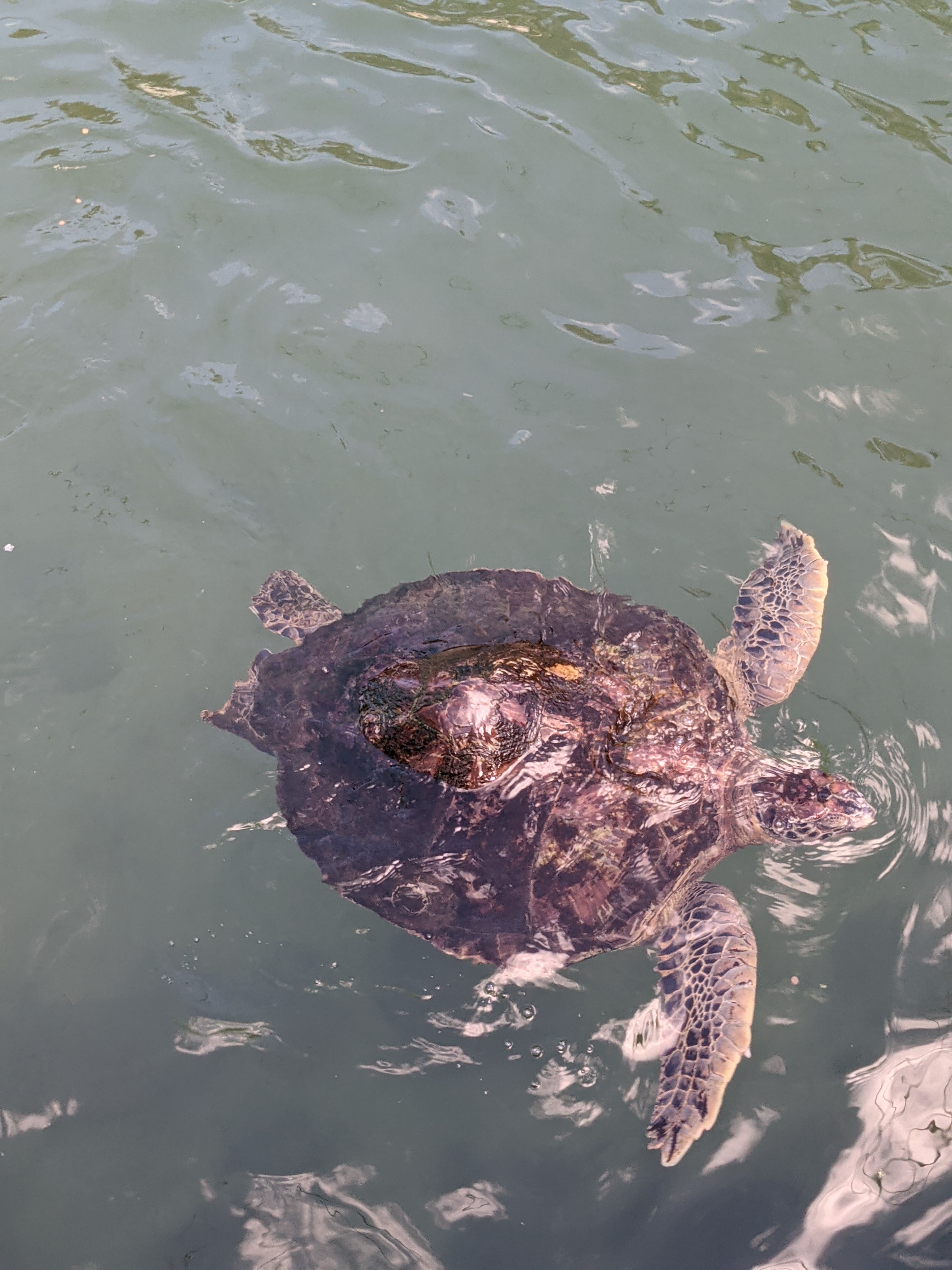 PXL 20210311 203928332