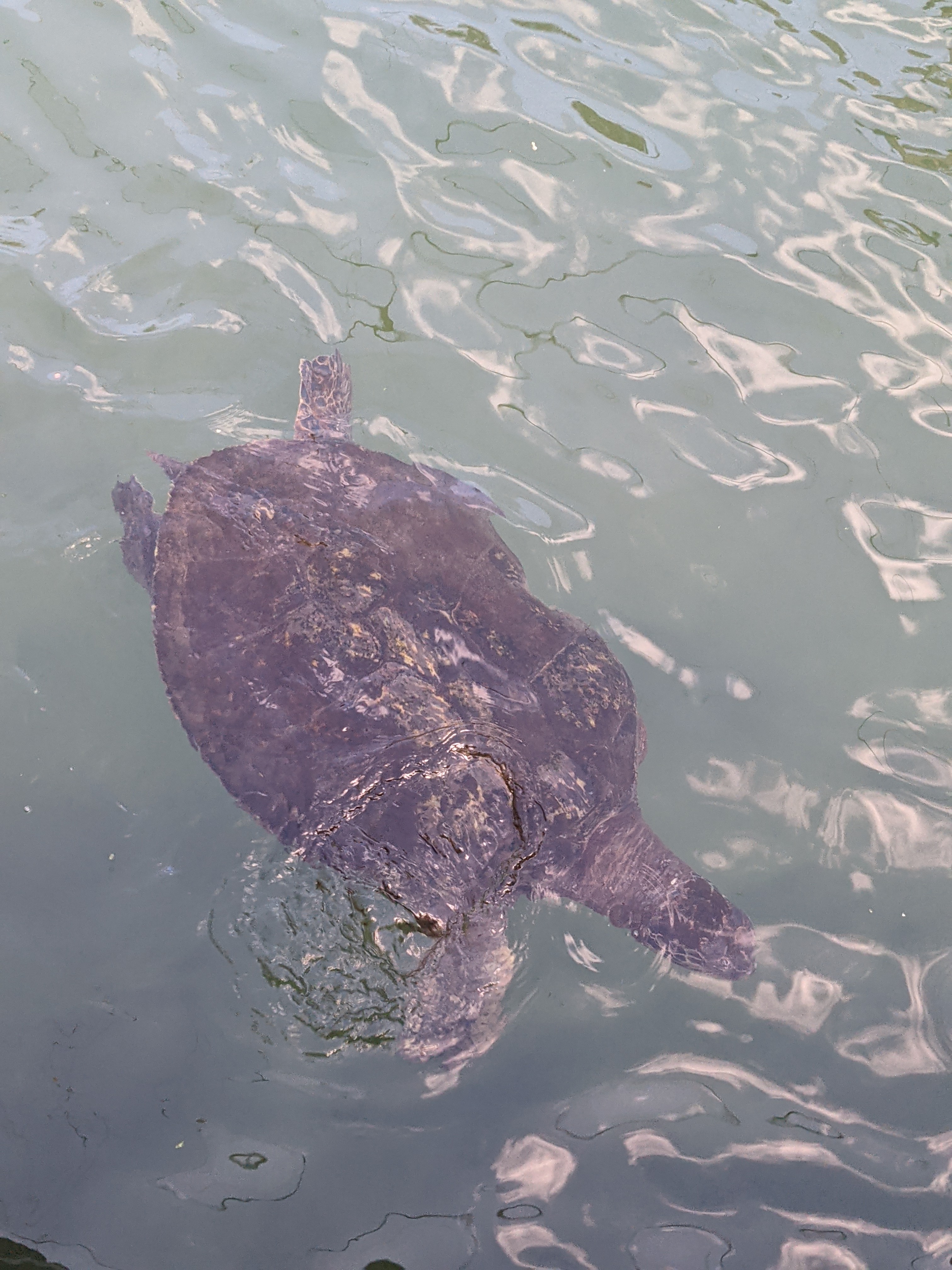 PXL 20210311 204208470