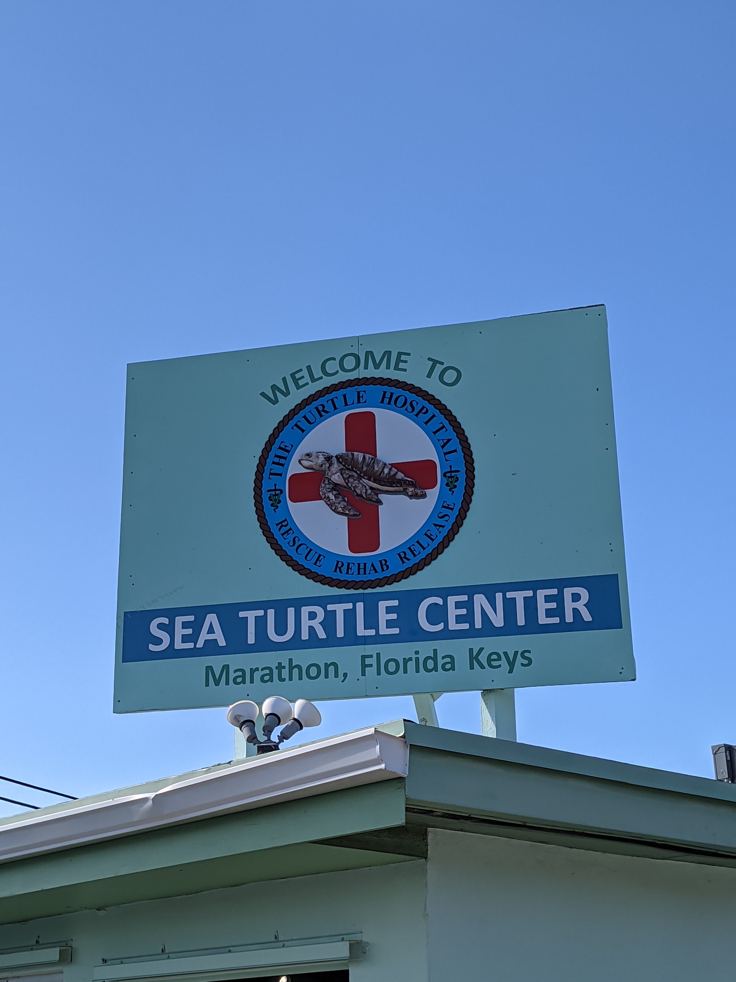 PXL 20210311 205334680