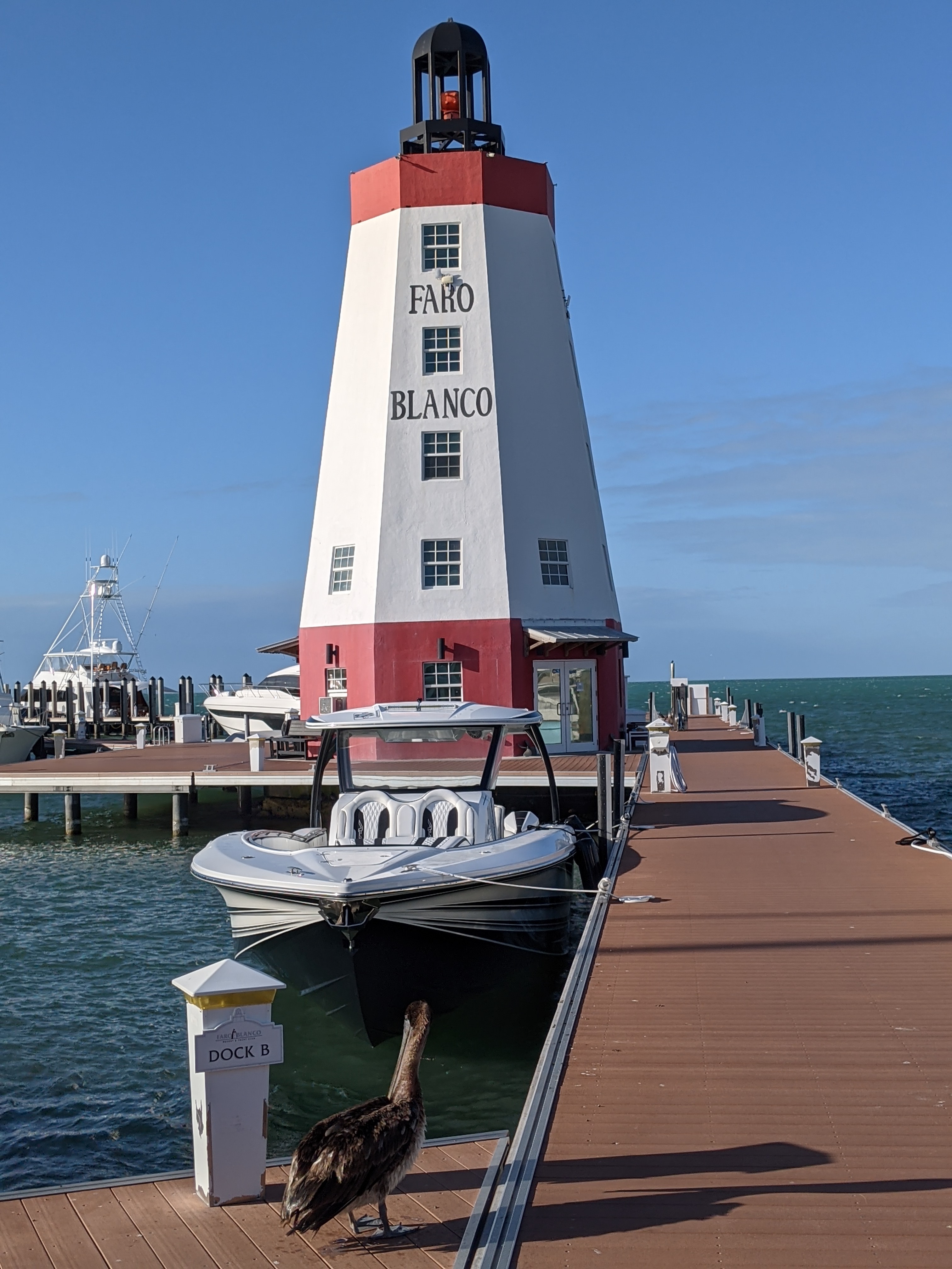 PXL 20210311 215658338