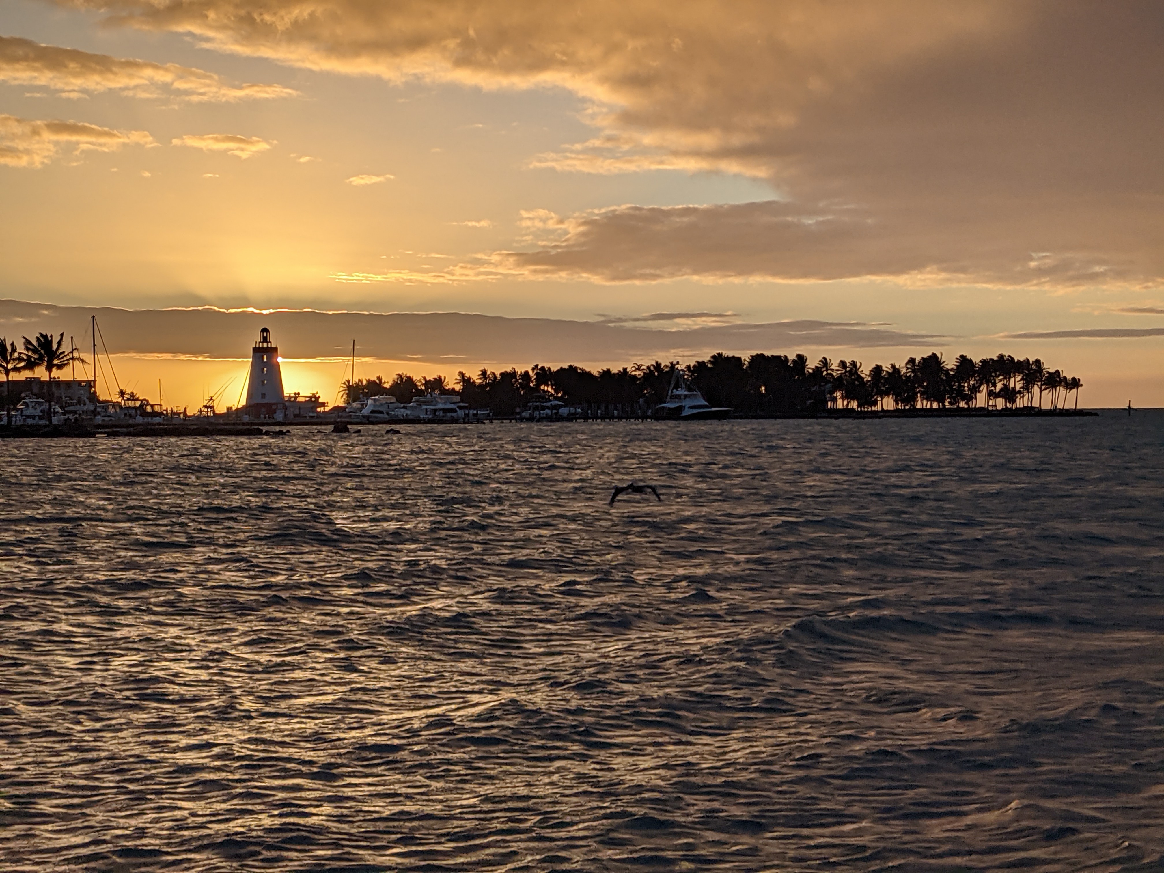 PXL 20210311 232258569