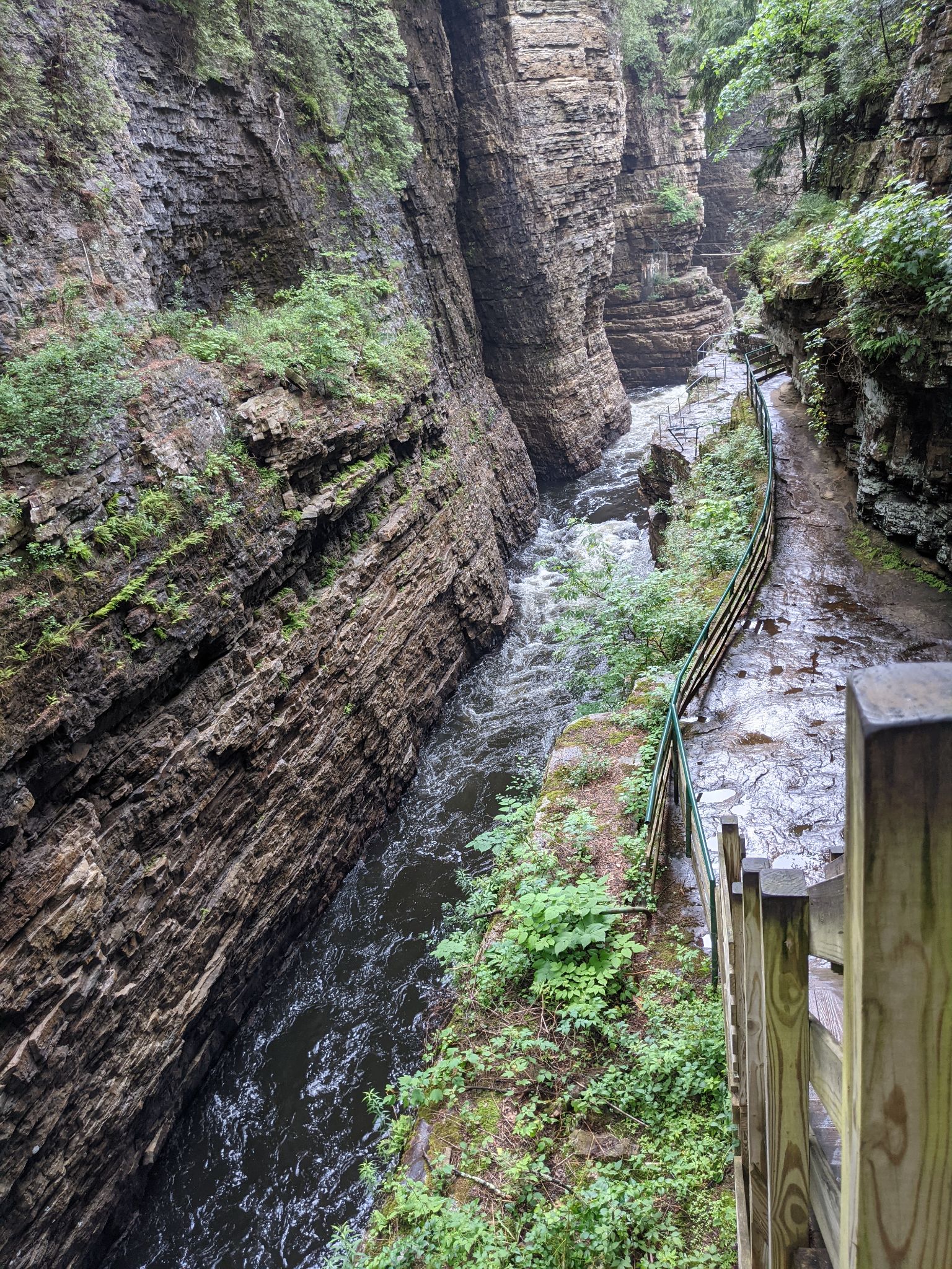 PXL 20210706 161258377