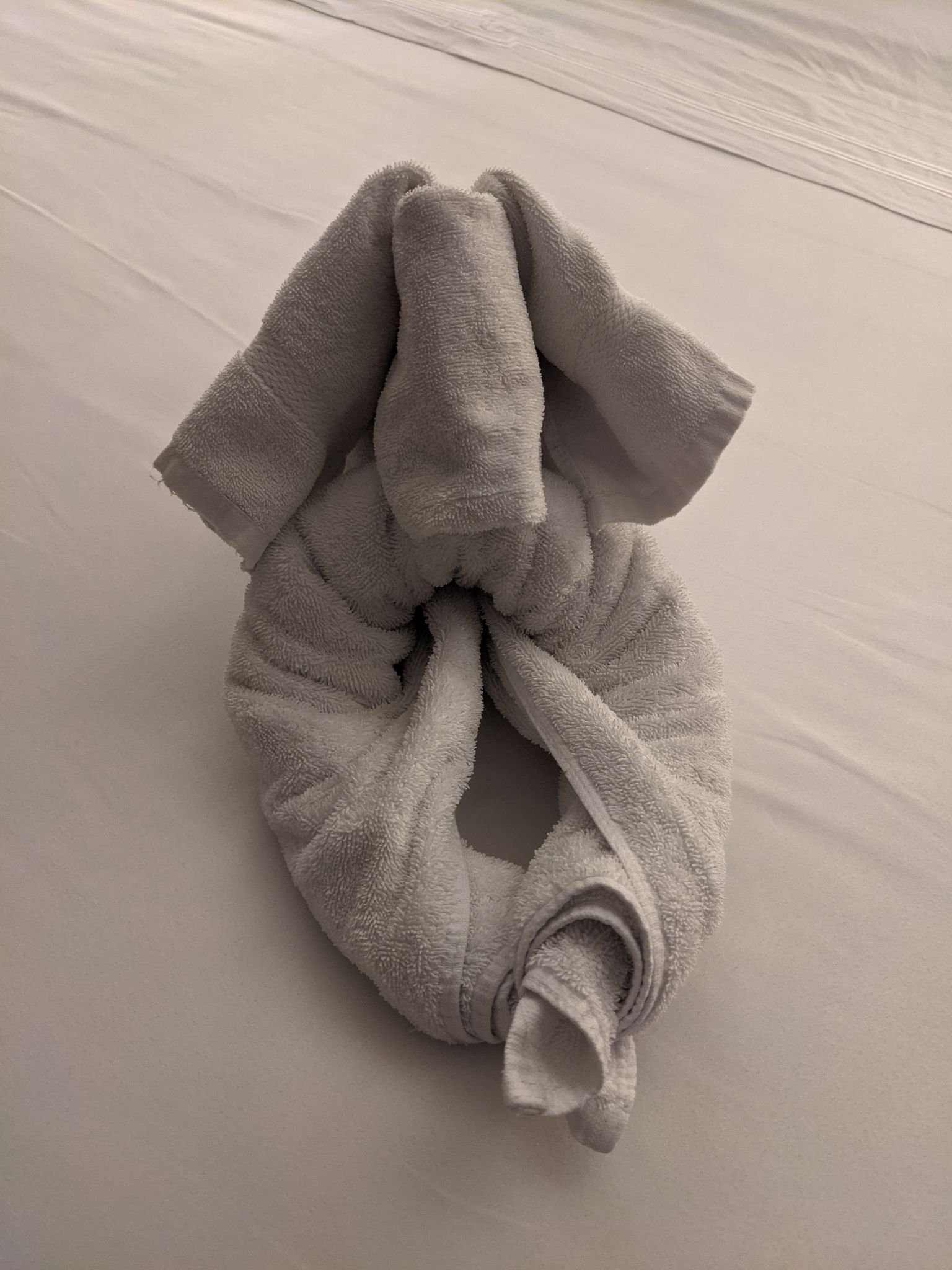 PXL 20211024 235547370