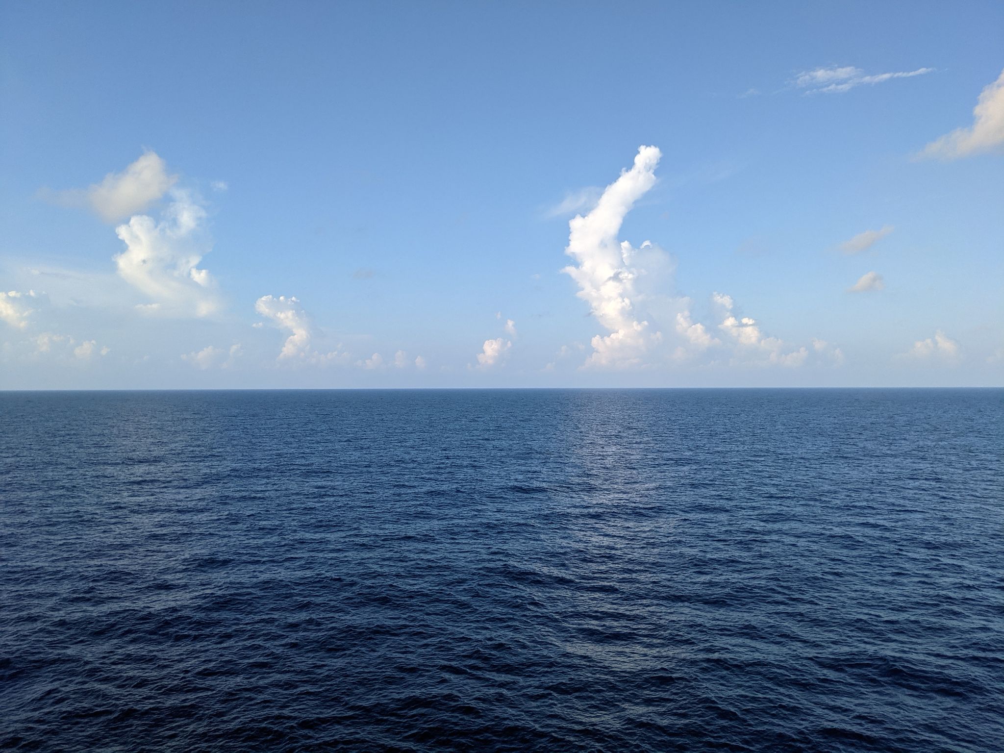 PXL 20211028 212029802