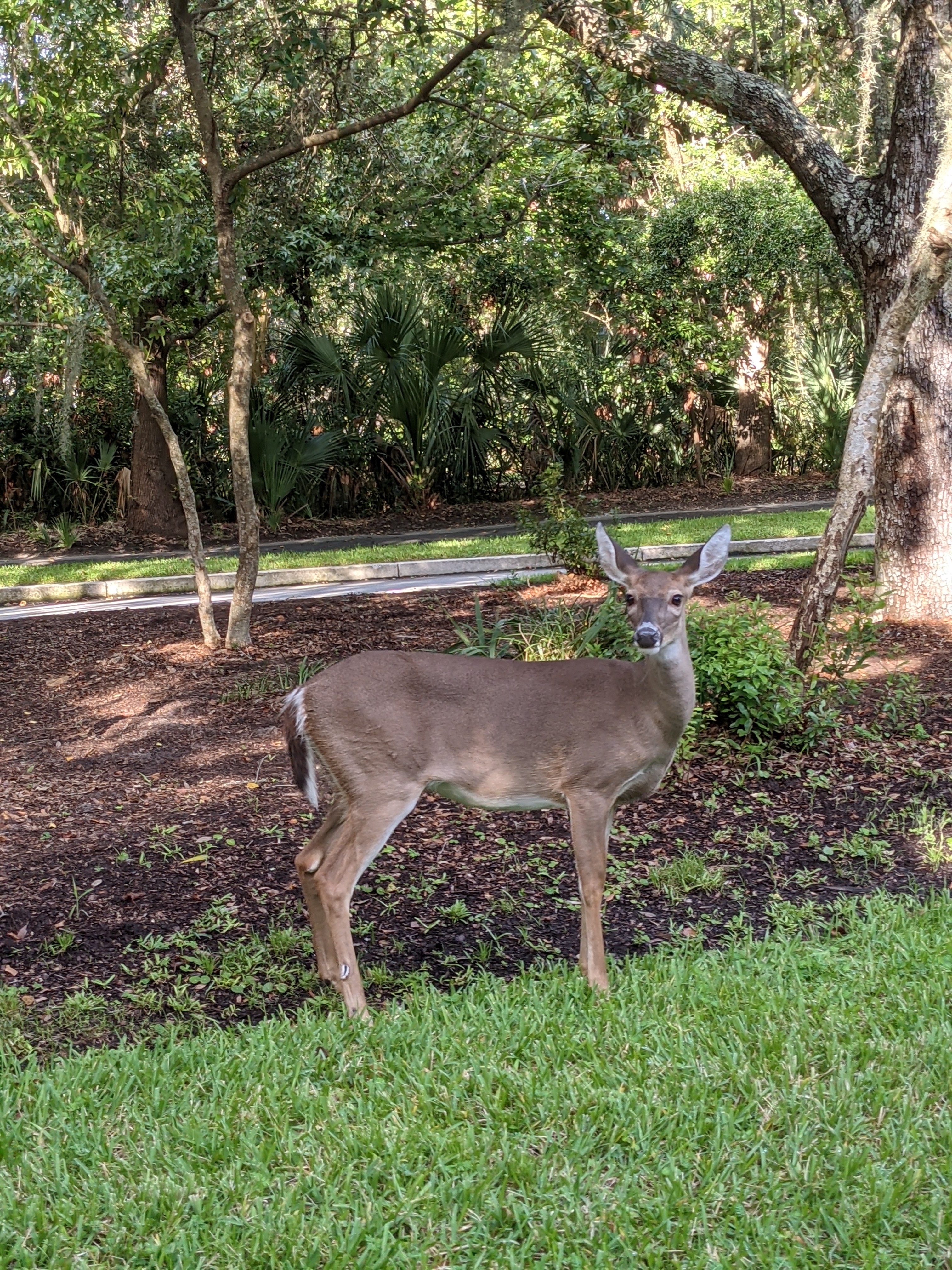 PXL 20200912 212038615