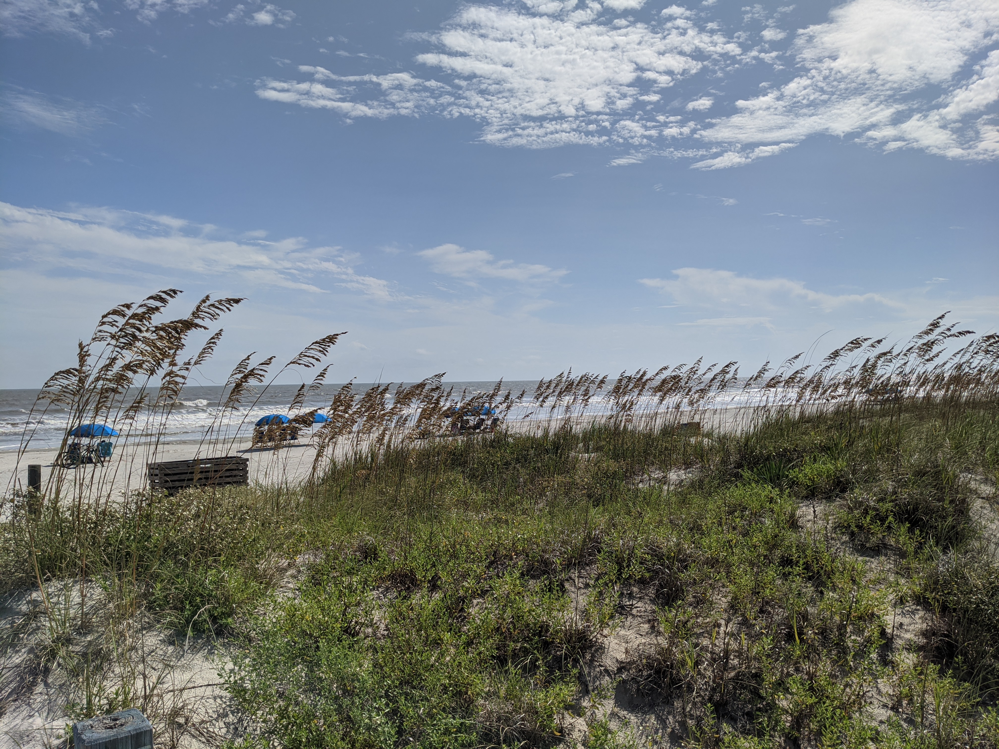 PXL 20200913 193637666