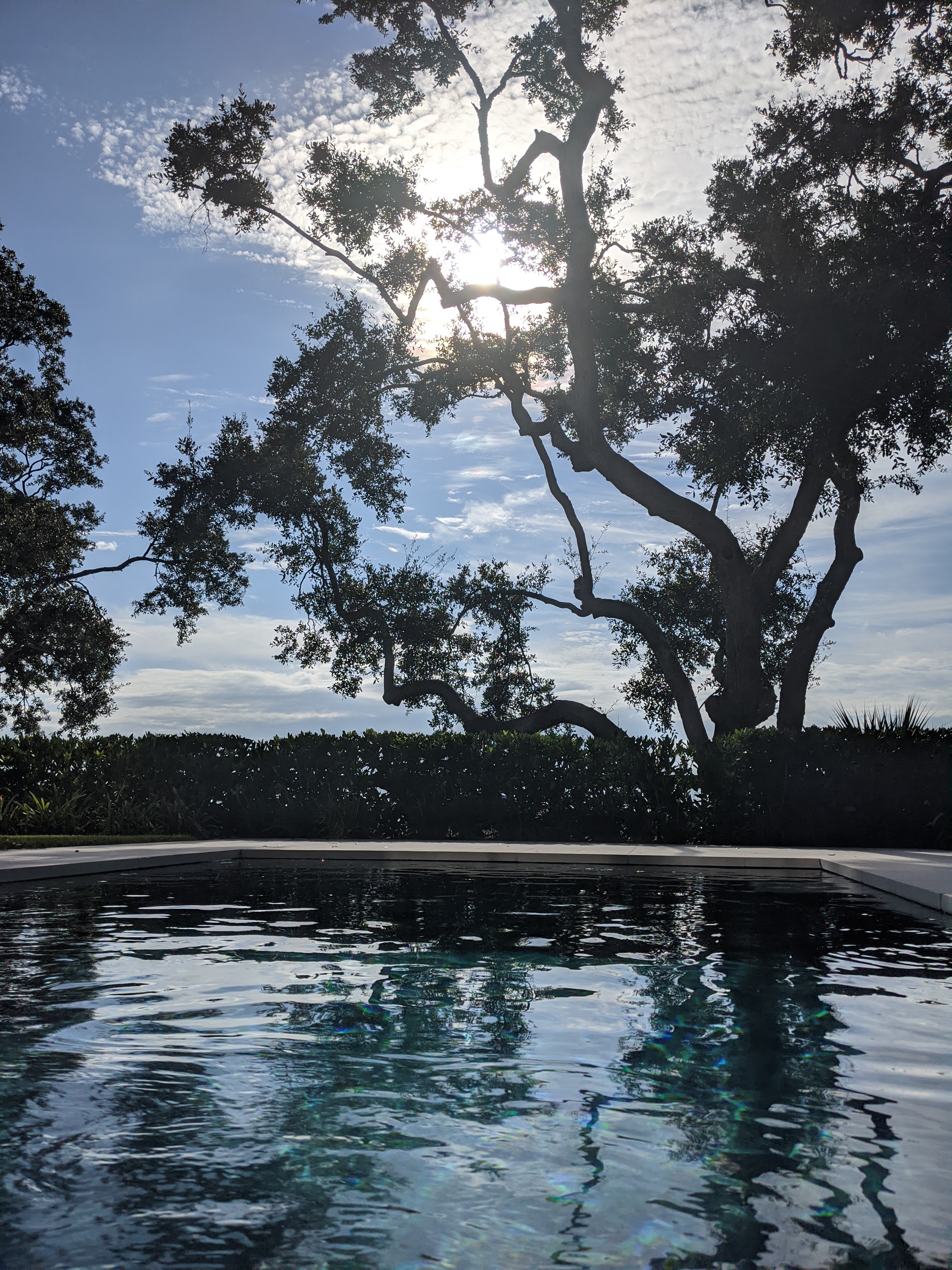 PXL 20201015 140456589.MP