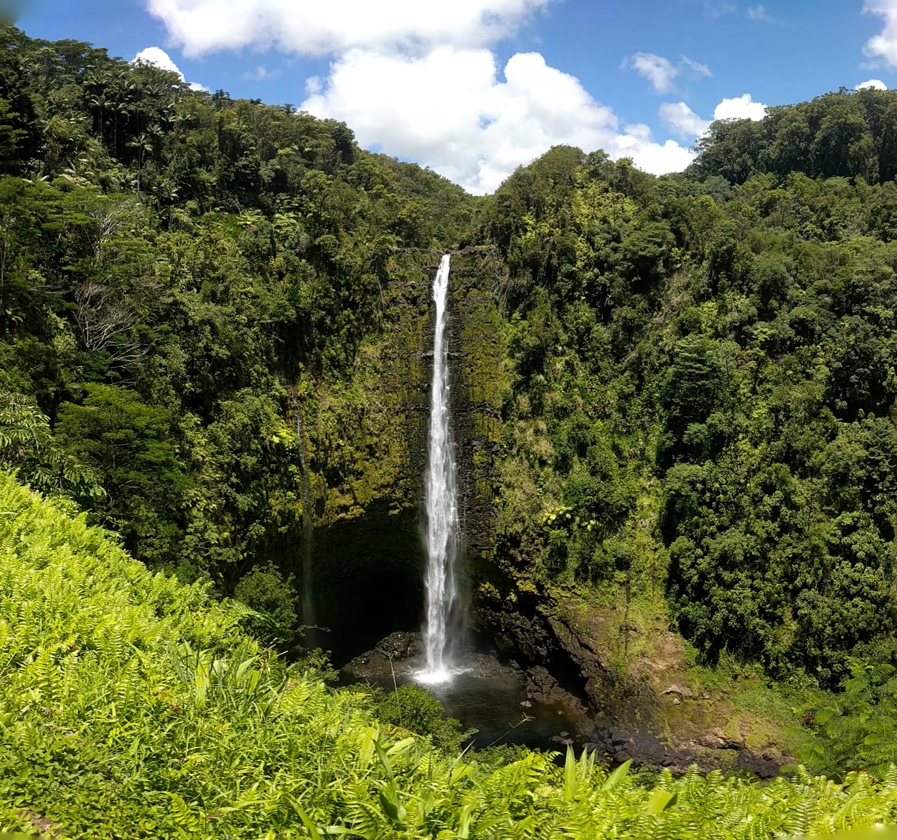 PANO 20190620 112038.vr