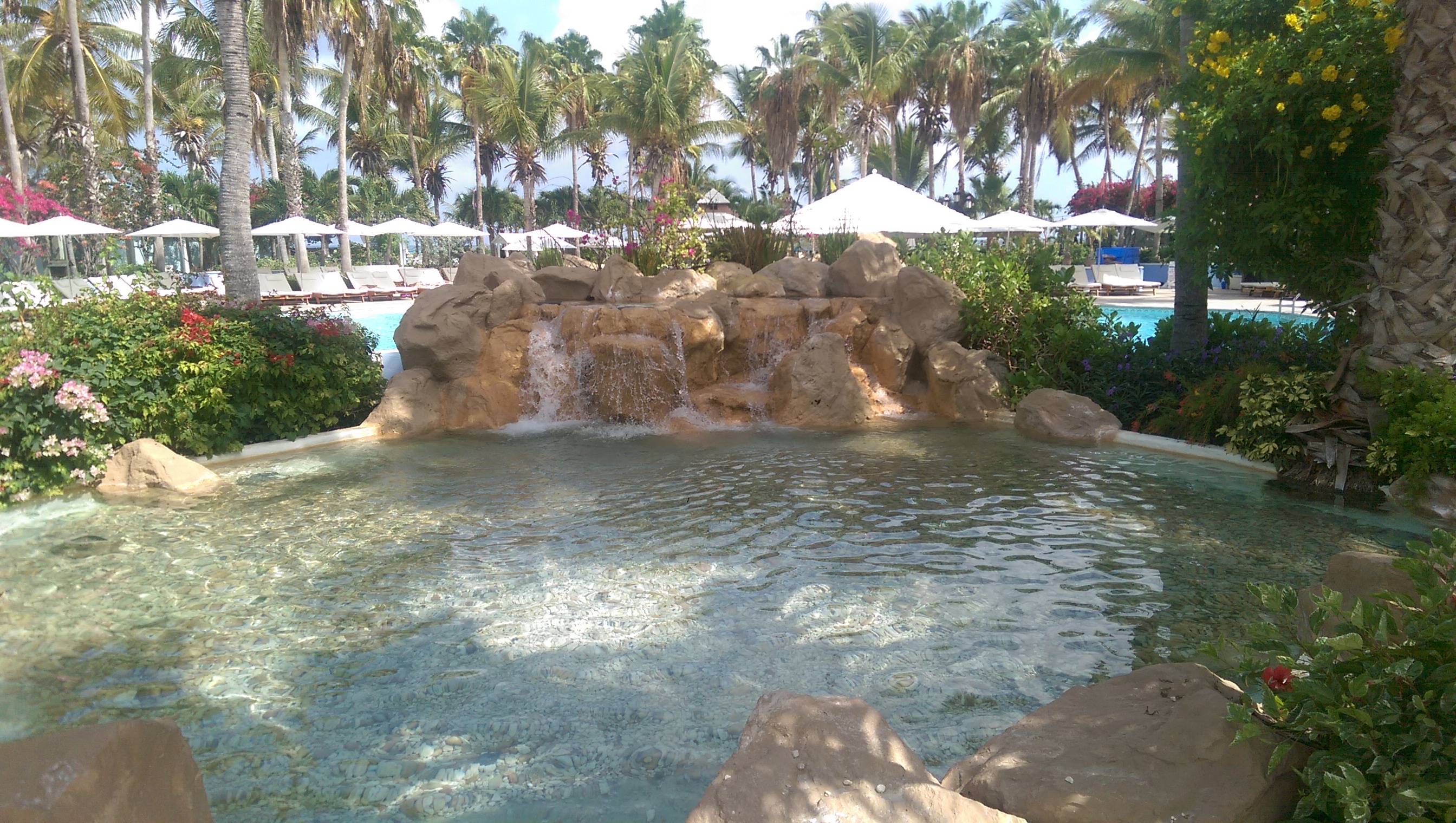 IMAG2654