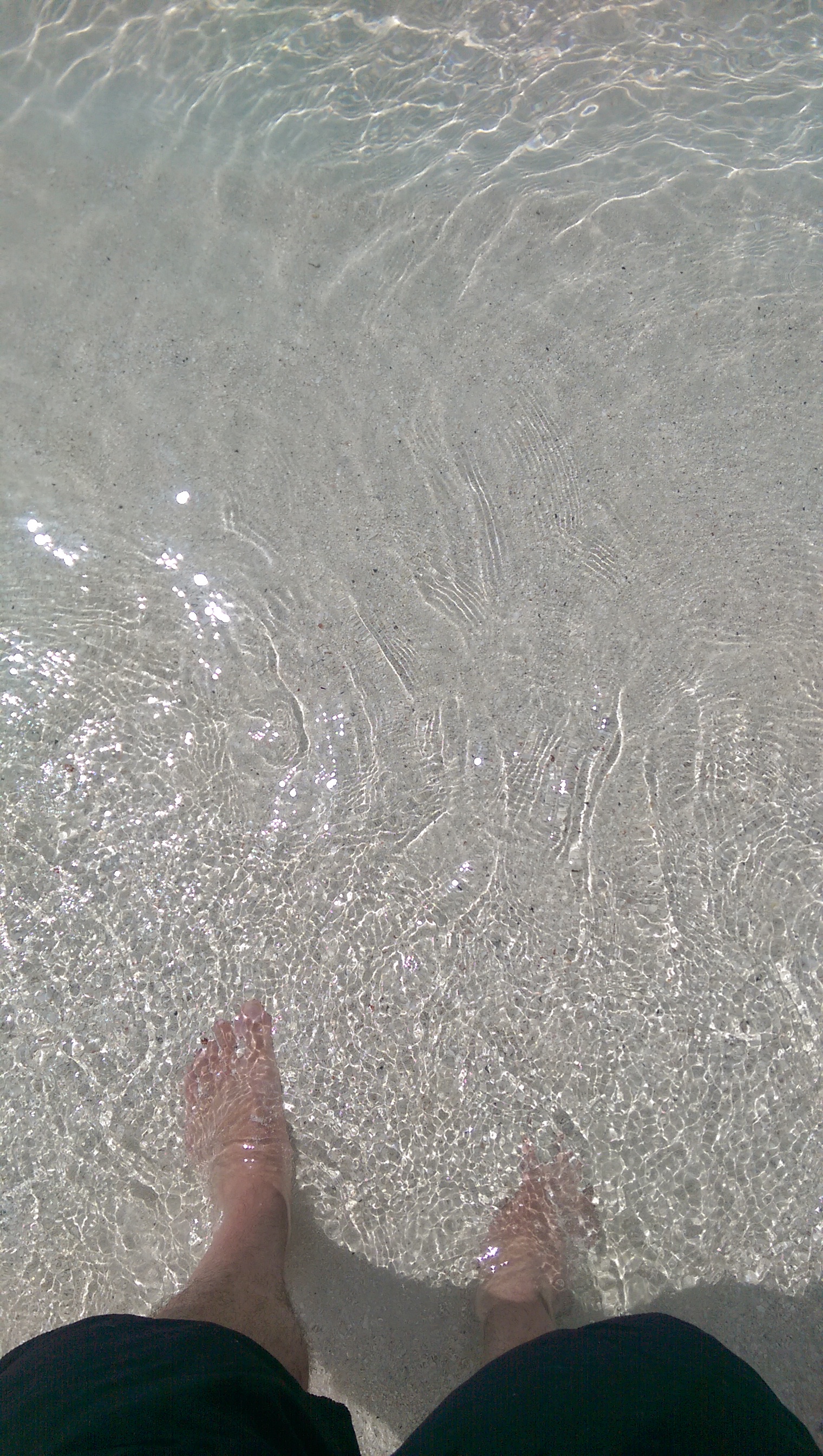 IMAG2689