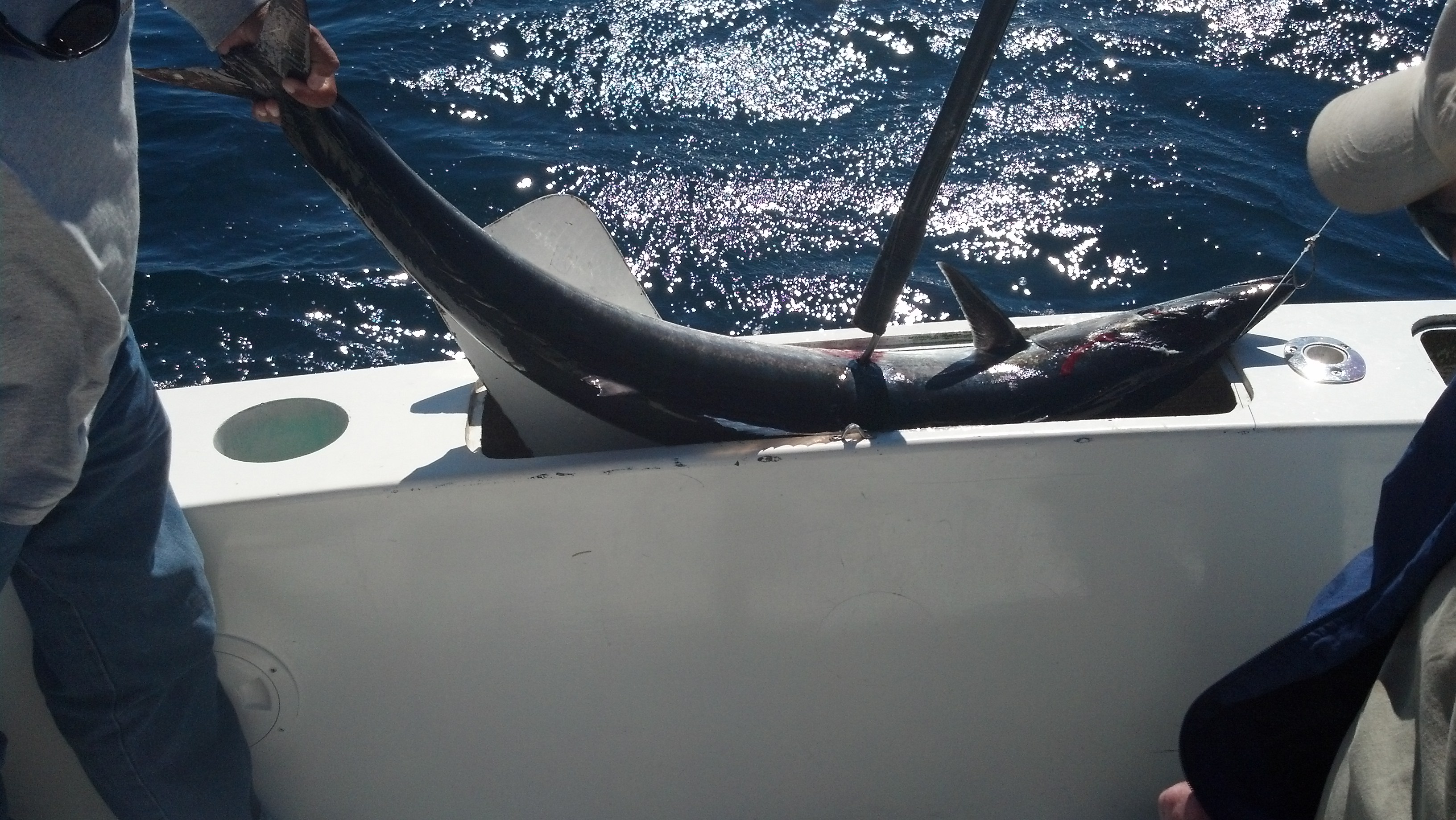 IMG 20140113 120051 316