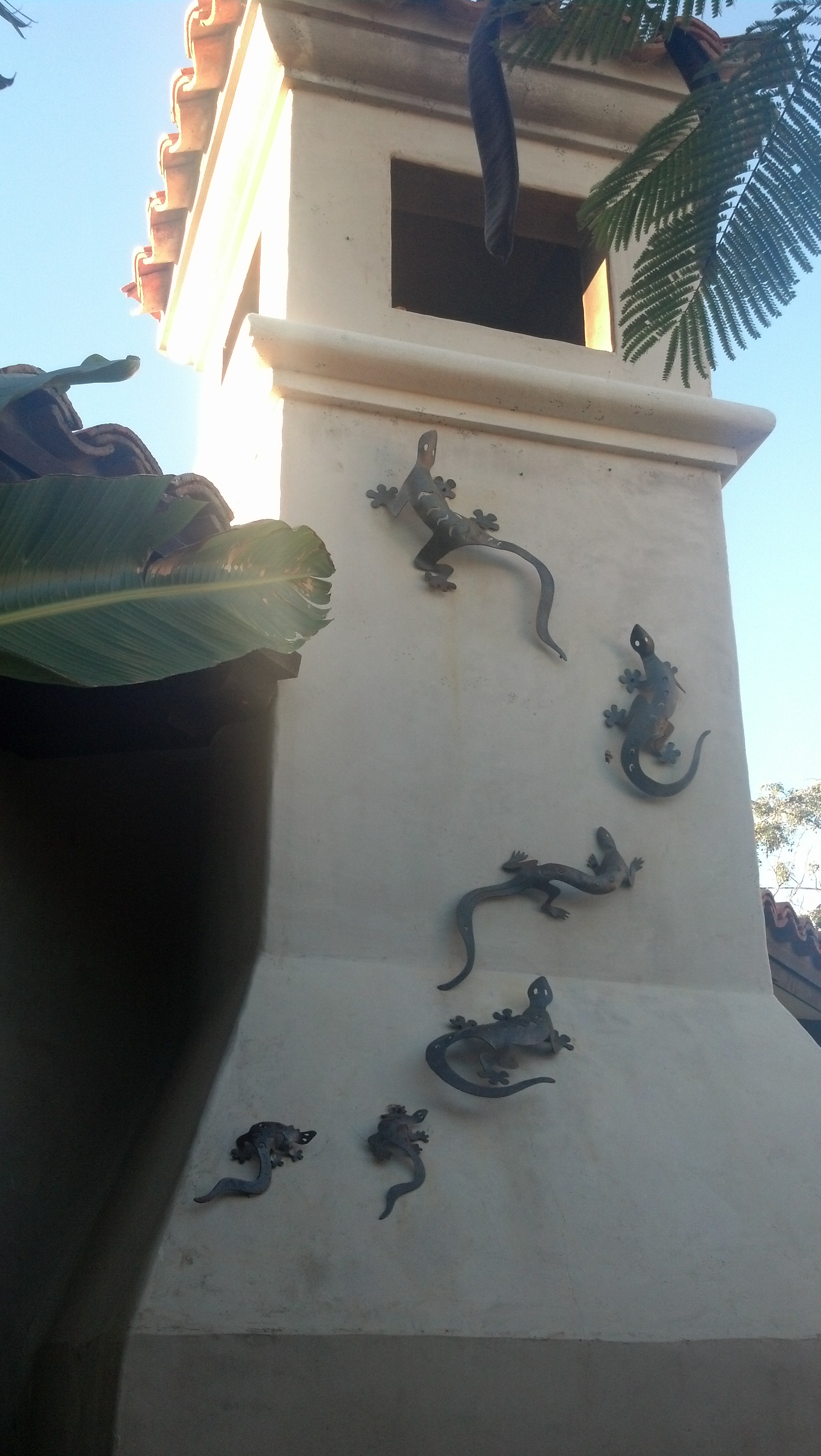 IMG 20140114 075347 261