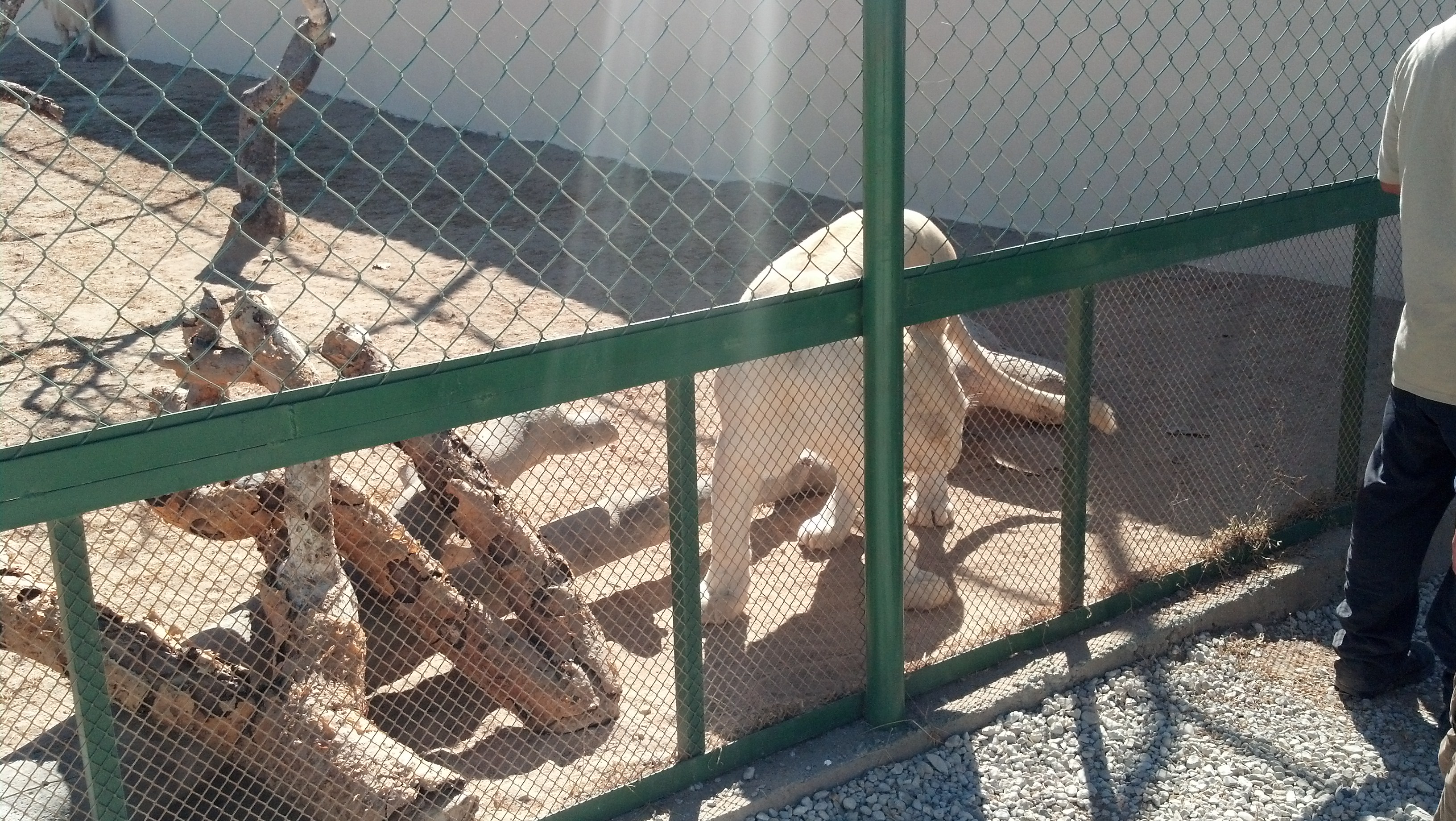 IMG 20140114 115222 422