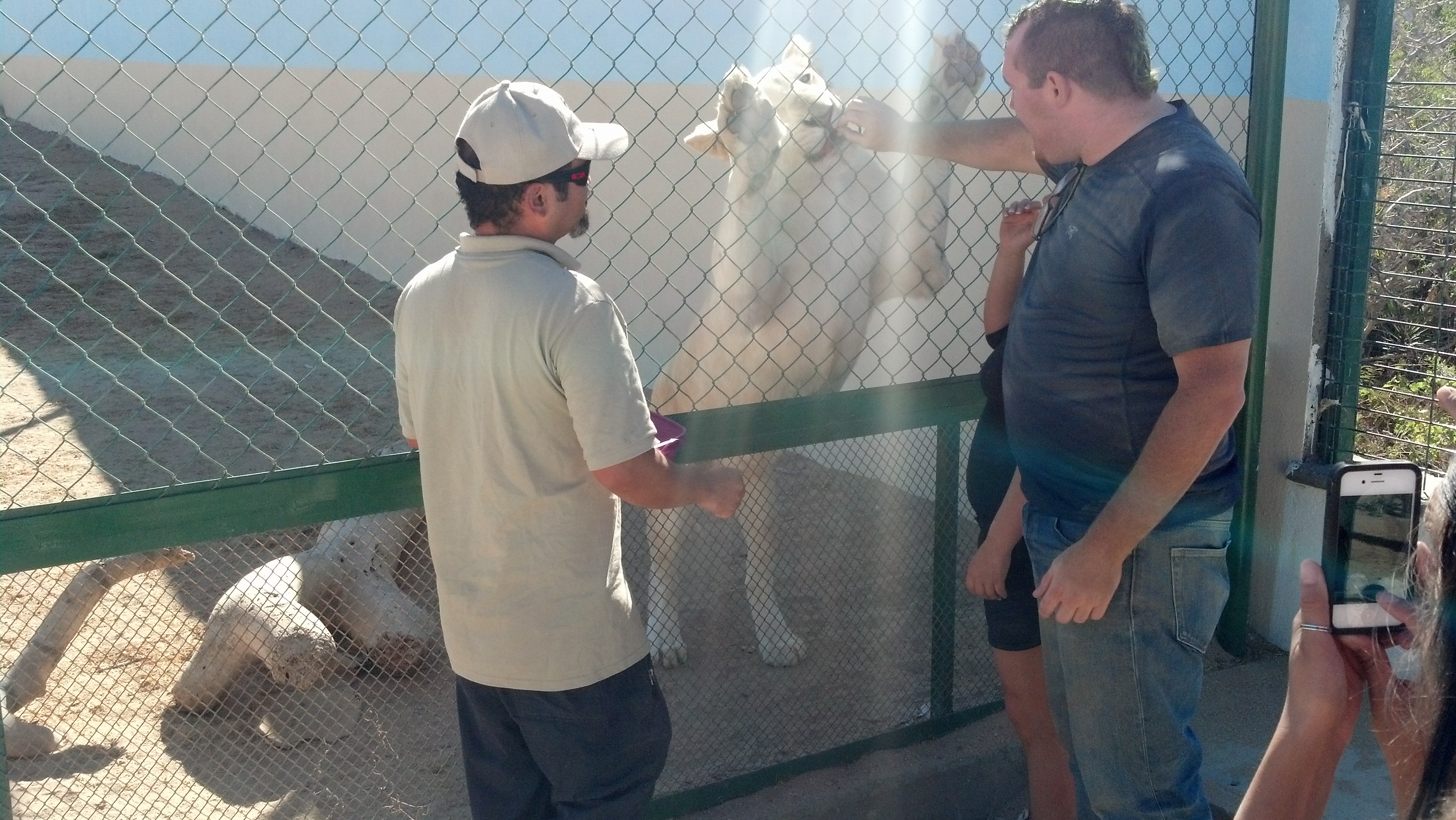 IMG 20140114 115259 770