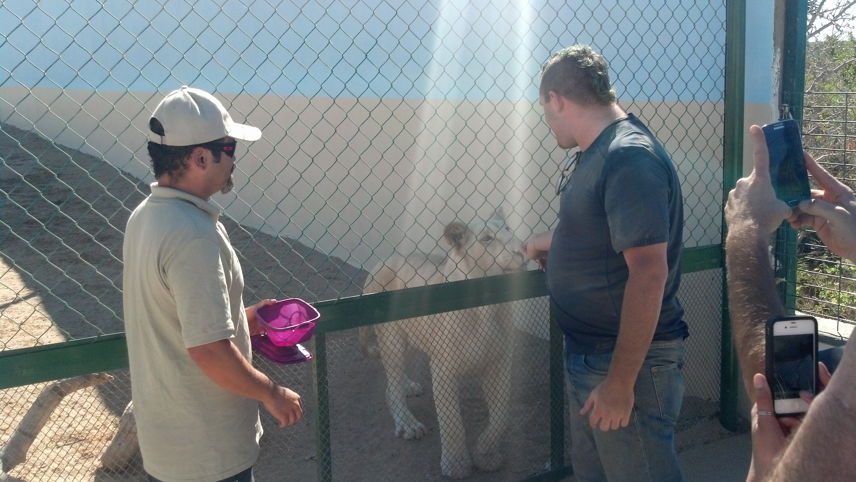 IMG 20140114 115305 061