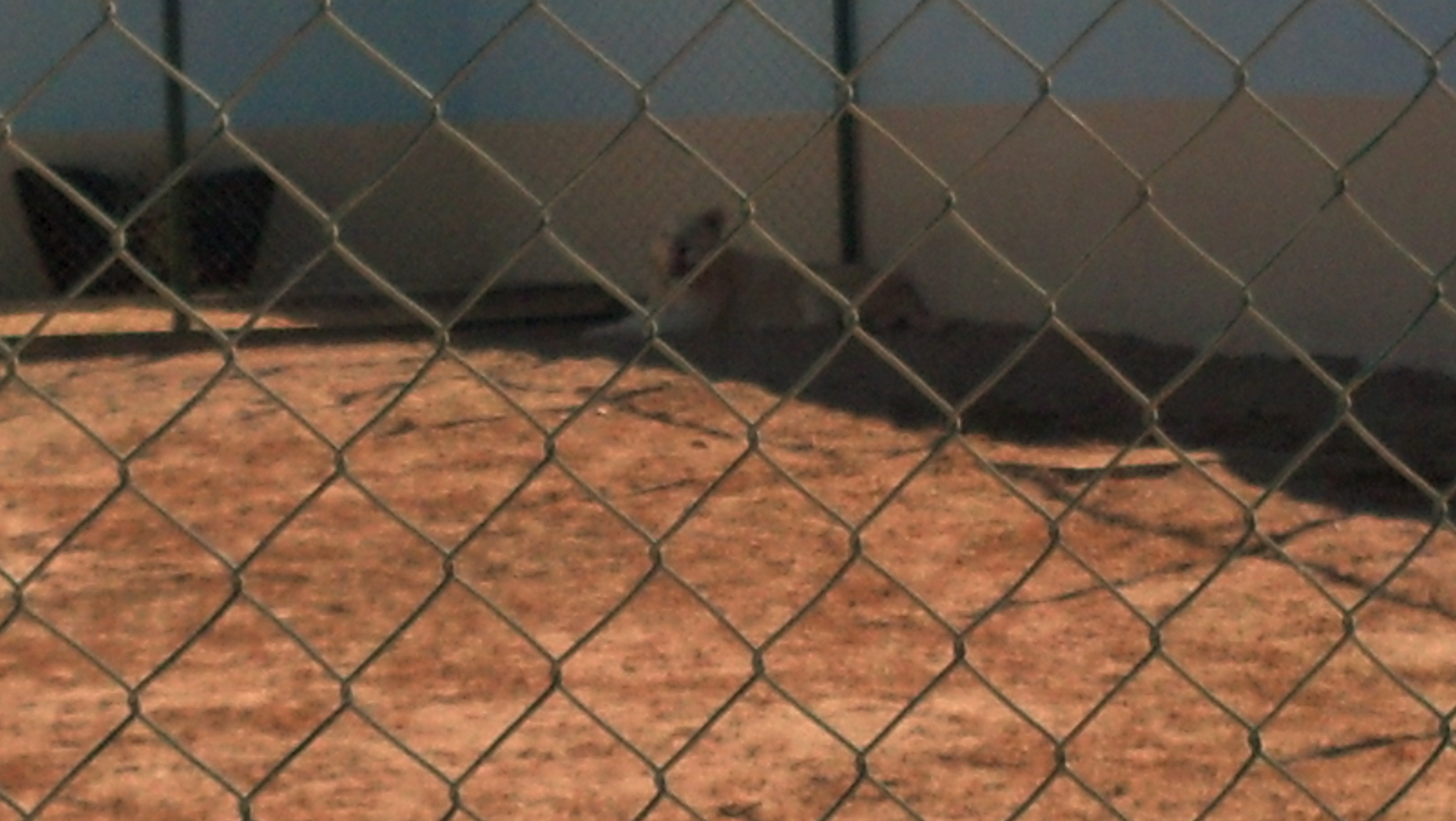 IMG 20140114 115400 525